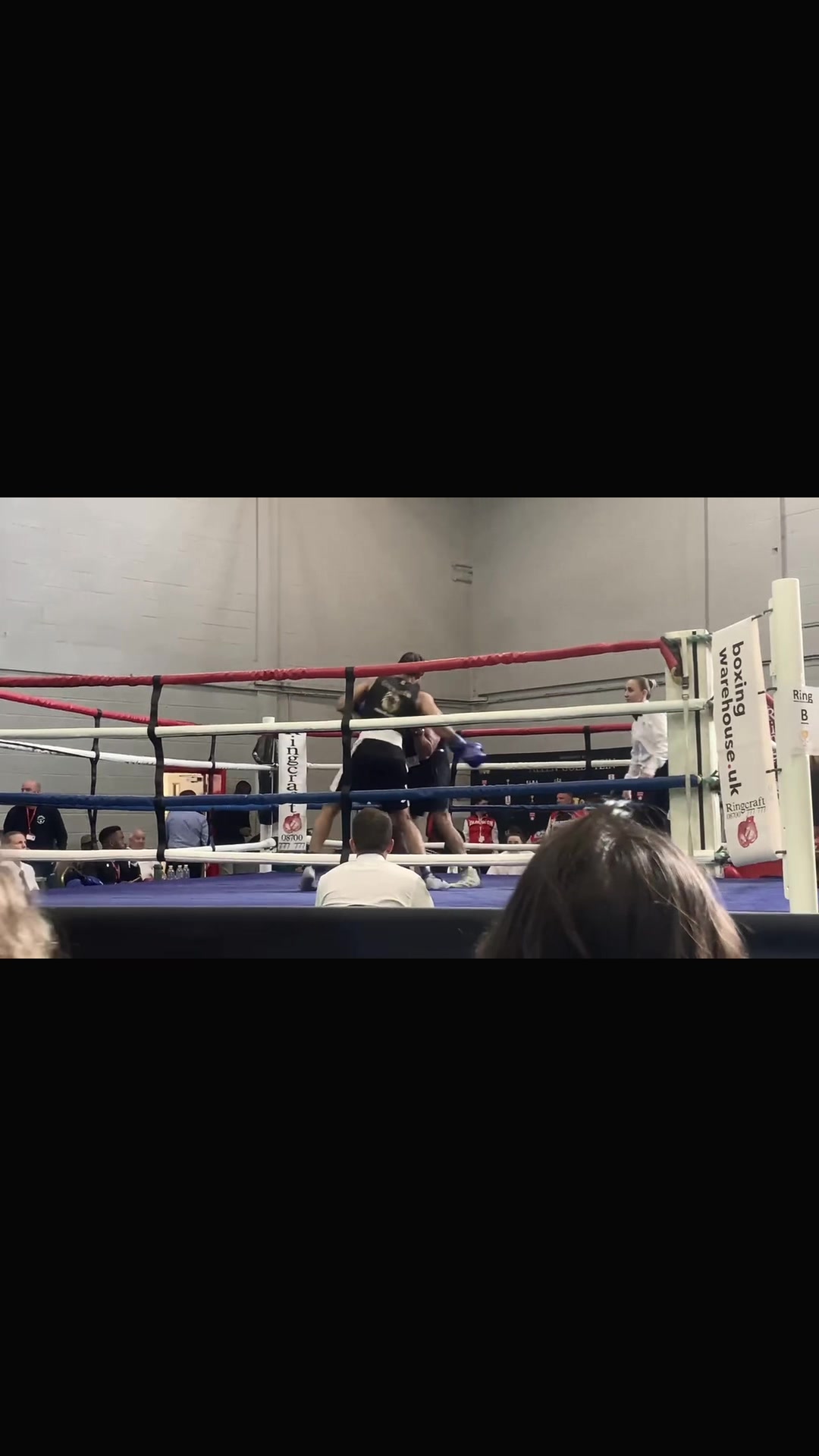 @Anton🦍
