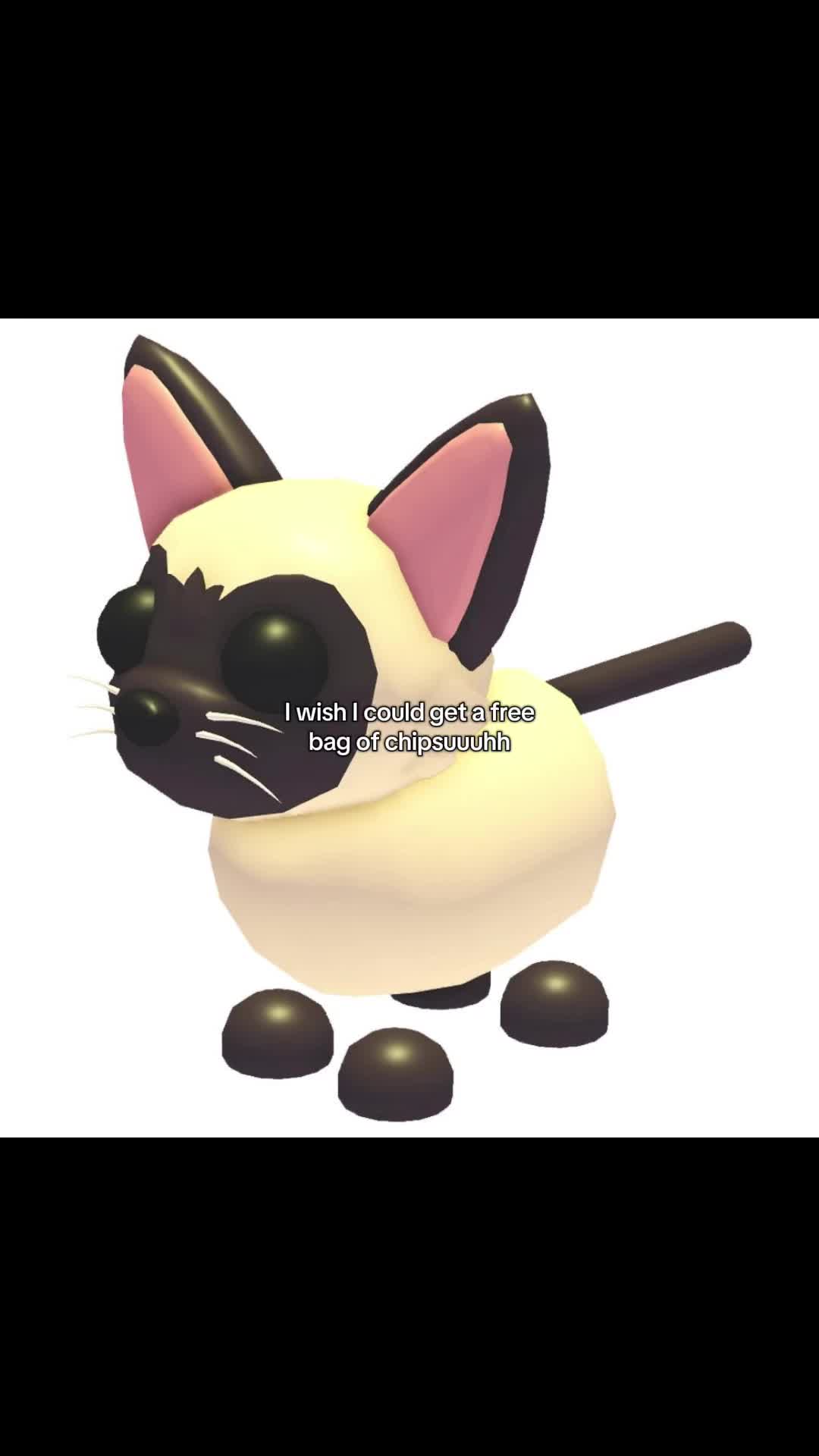 @𝜗𝜚⋆˚ℒ𝒾𝓁𝓁𝓎˚˖𓍢ִ໋🦢˚