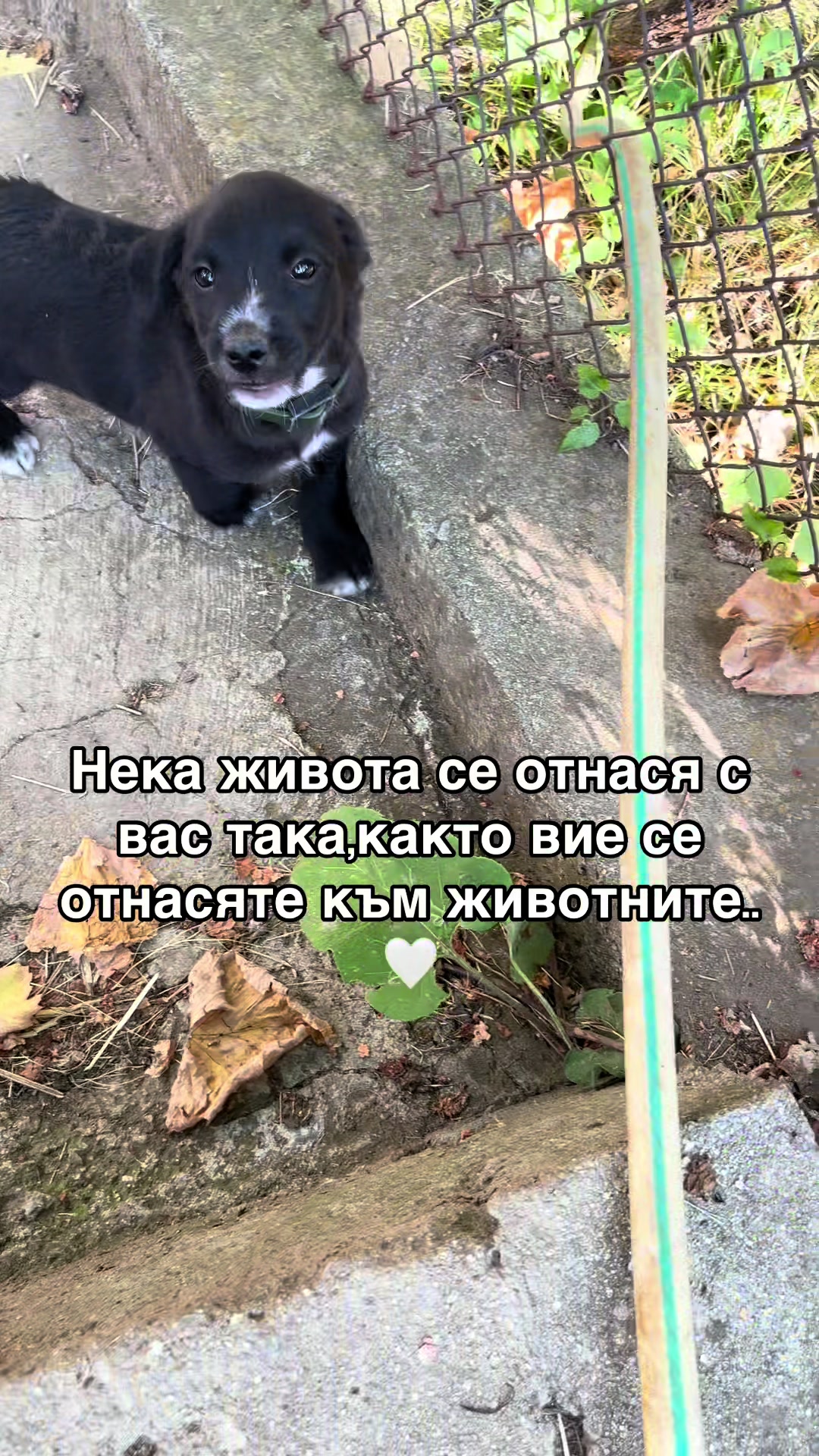 @11111