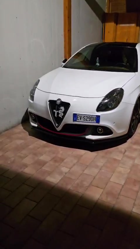 @Elite Alfisti Club
