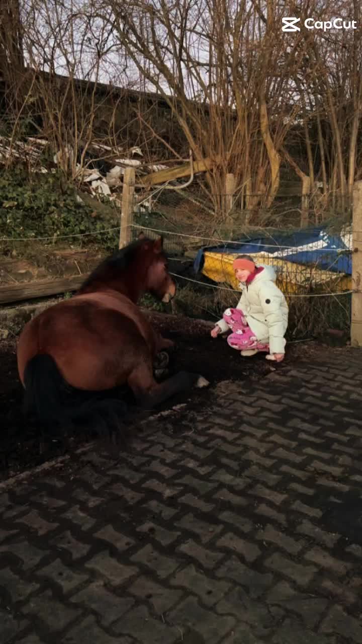 @🐴sophie🐴