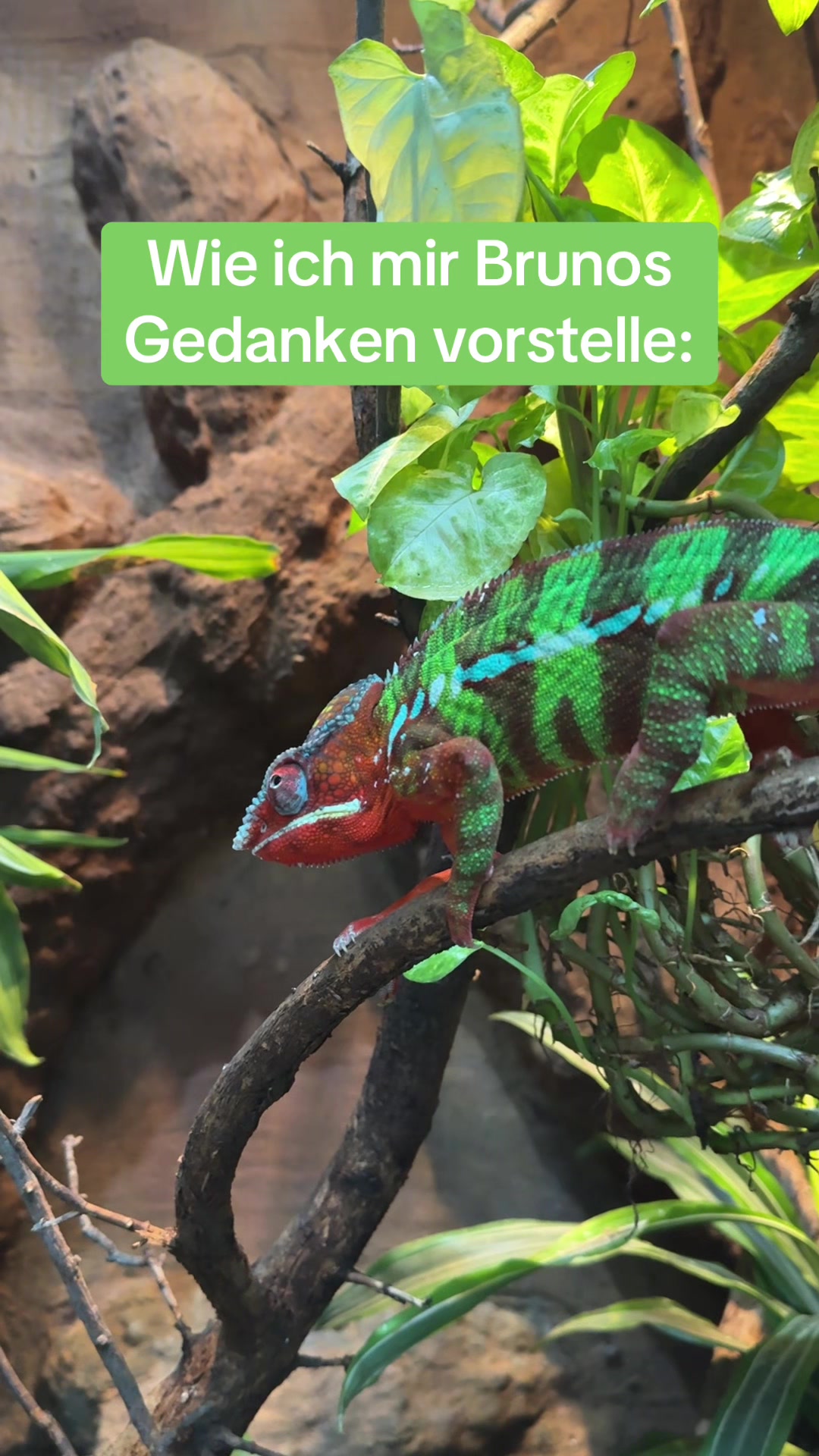 @Biosph&auml;re Potsdam