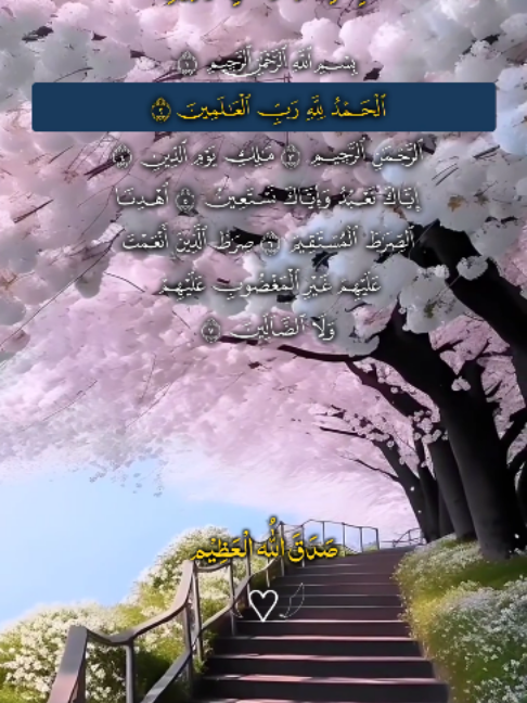 @❣️ Words of Allah ❣️