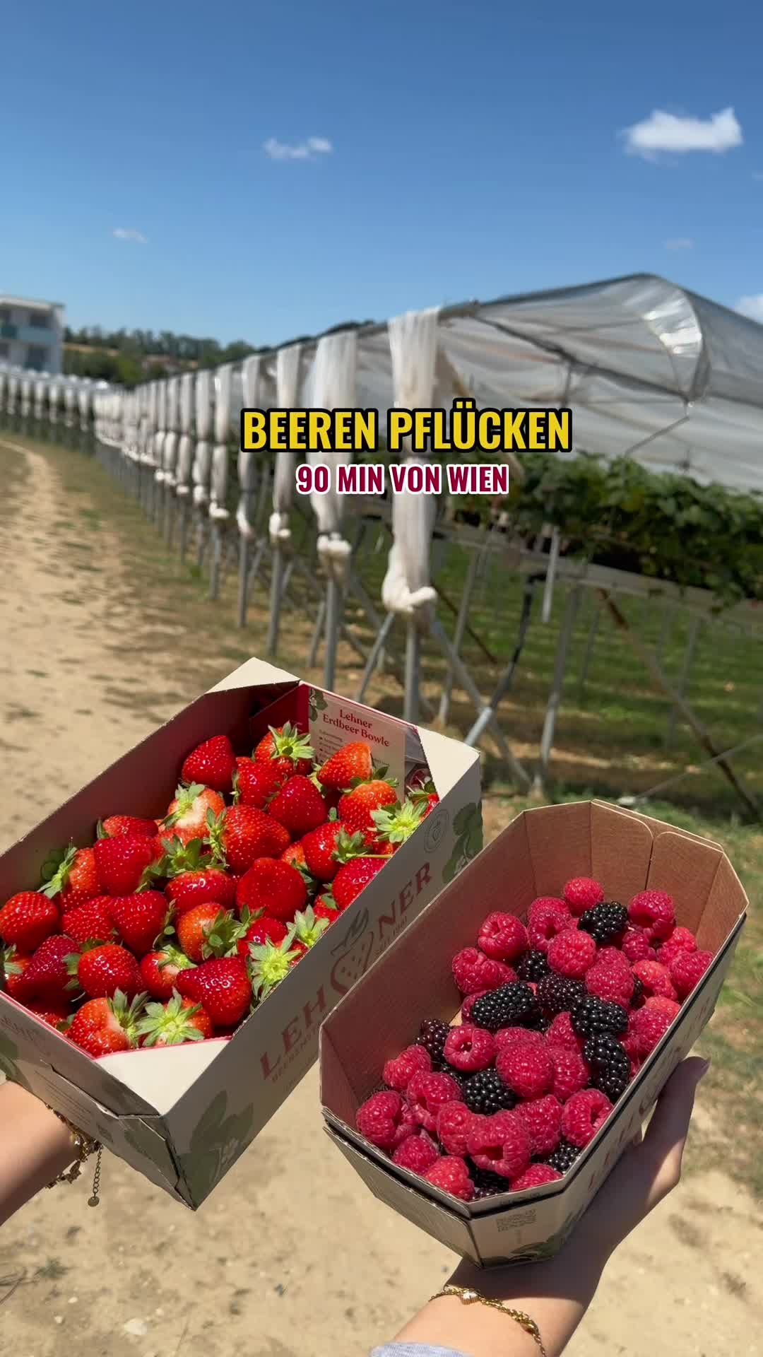 @Foodiewien