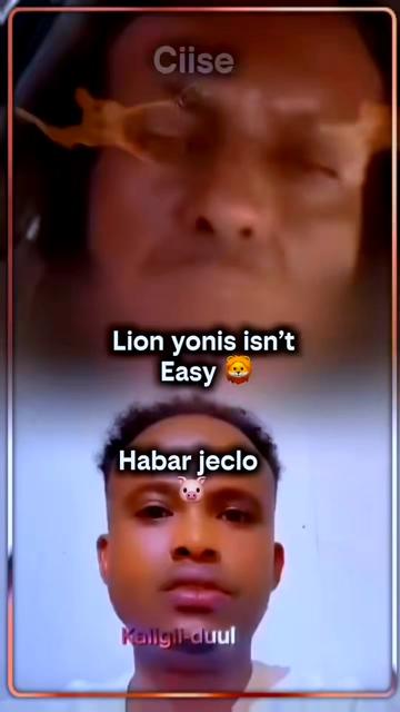 @🇬🇧🦁GESSI_5.1.5.🦁🇬🇧