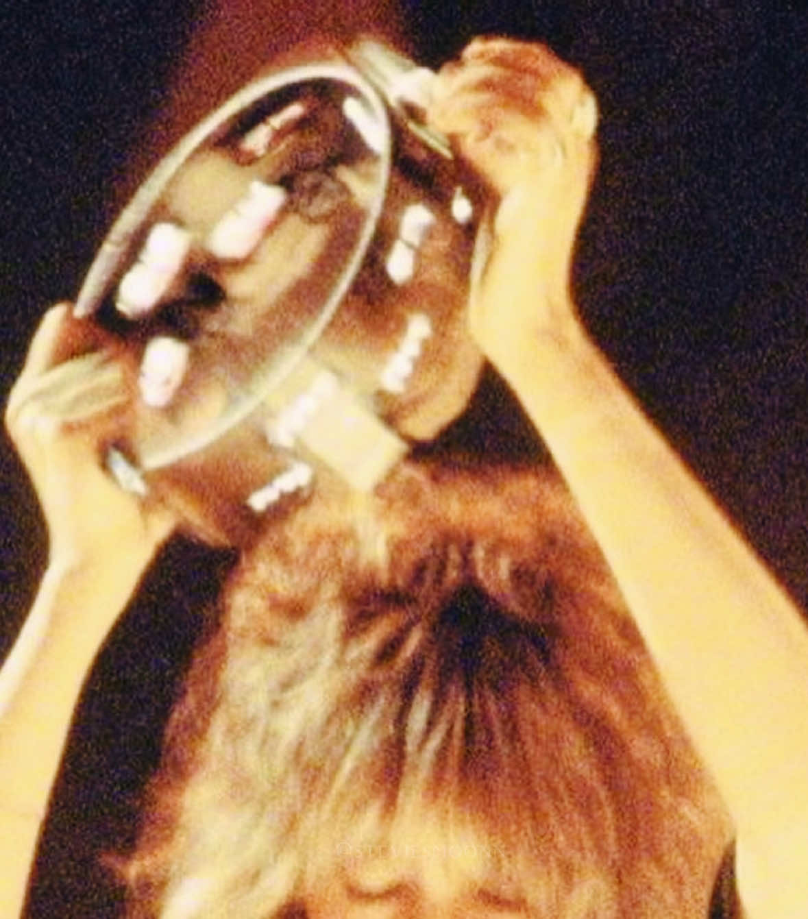 @stevie fan !! ꩜