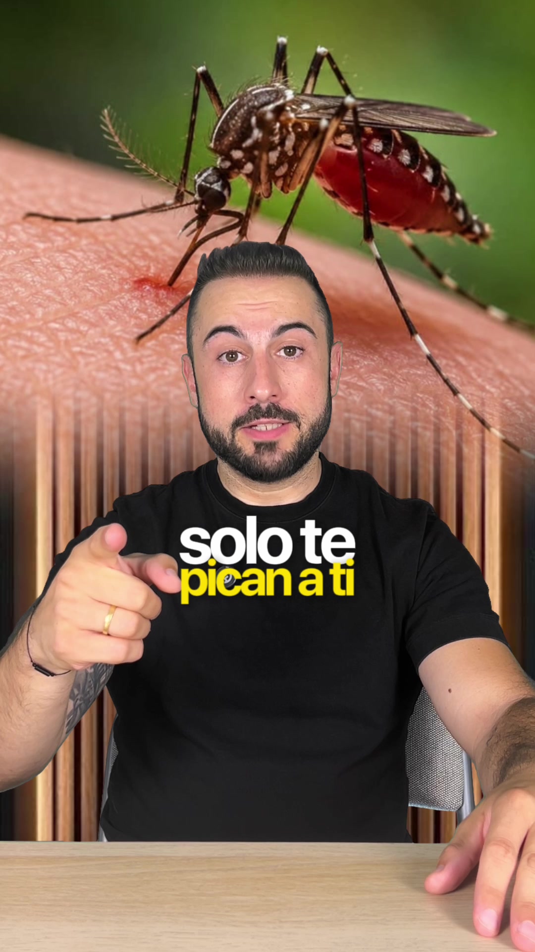 @Pablo Hernandez