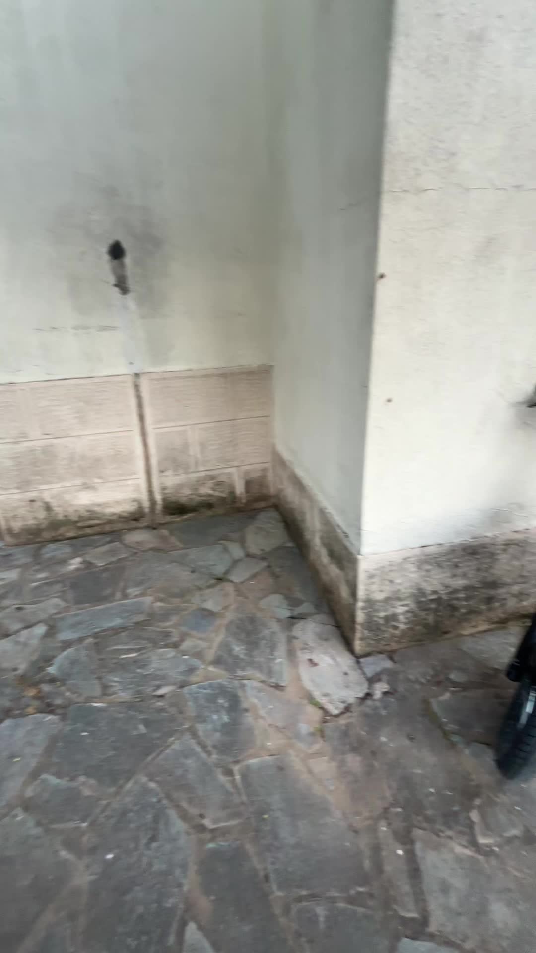 @OP.Aggelos