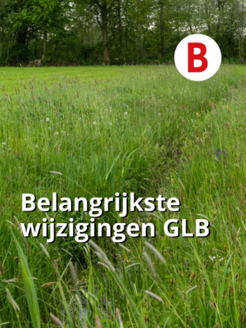 @Boerderij