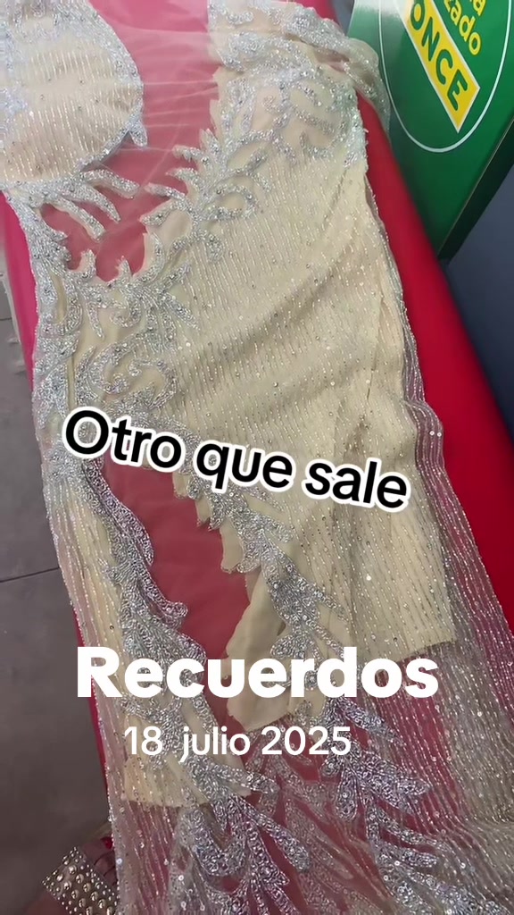 @bibicontreras
