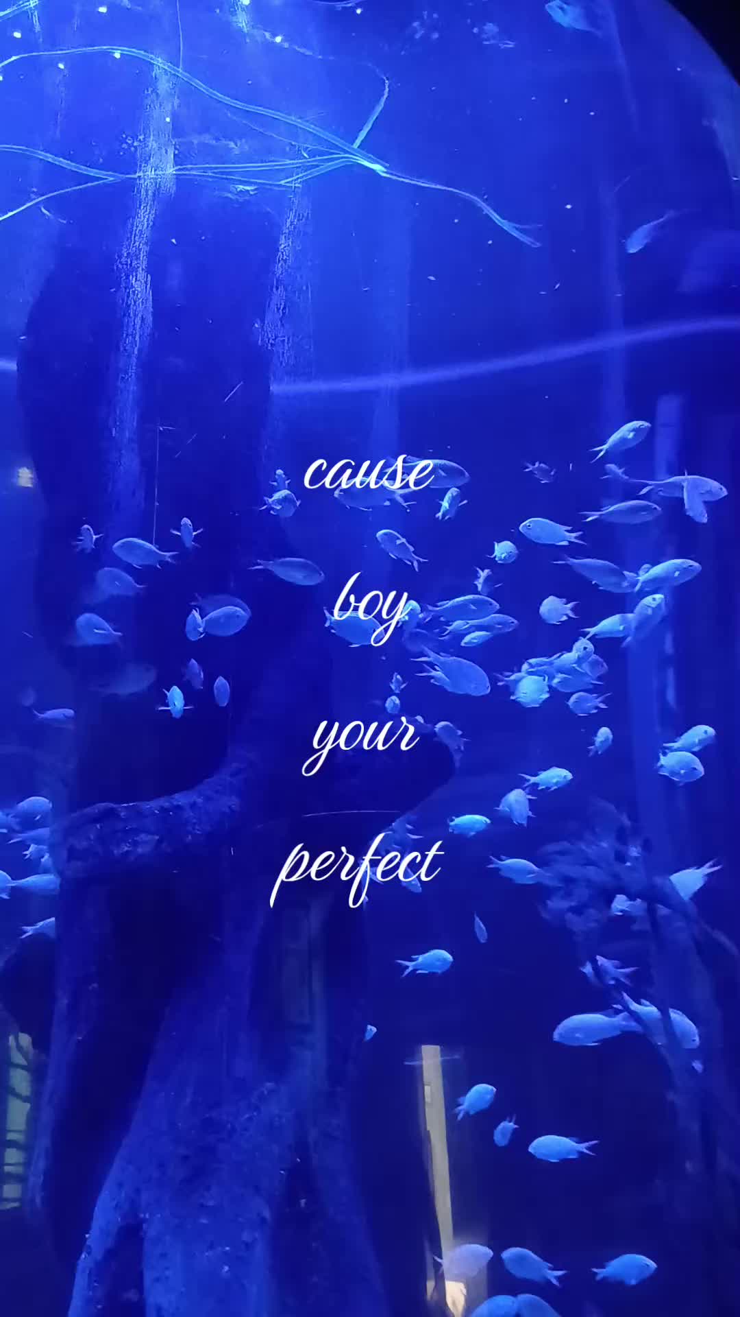 @𝐔𝐬𝐱𝐫❦🪽