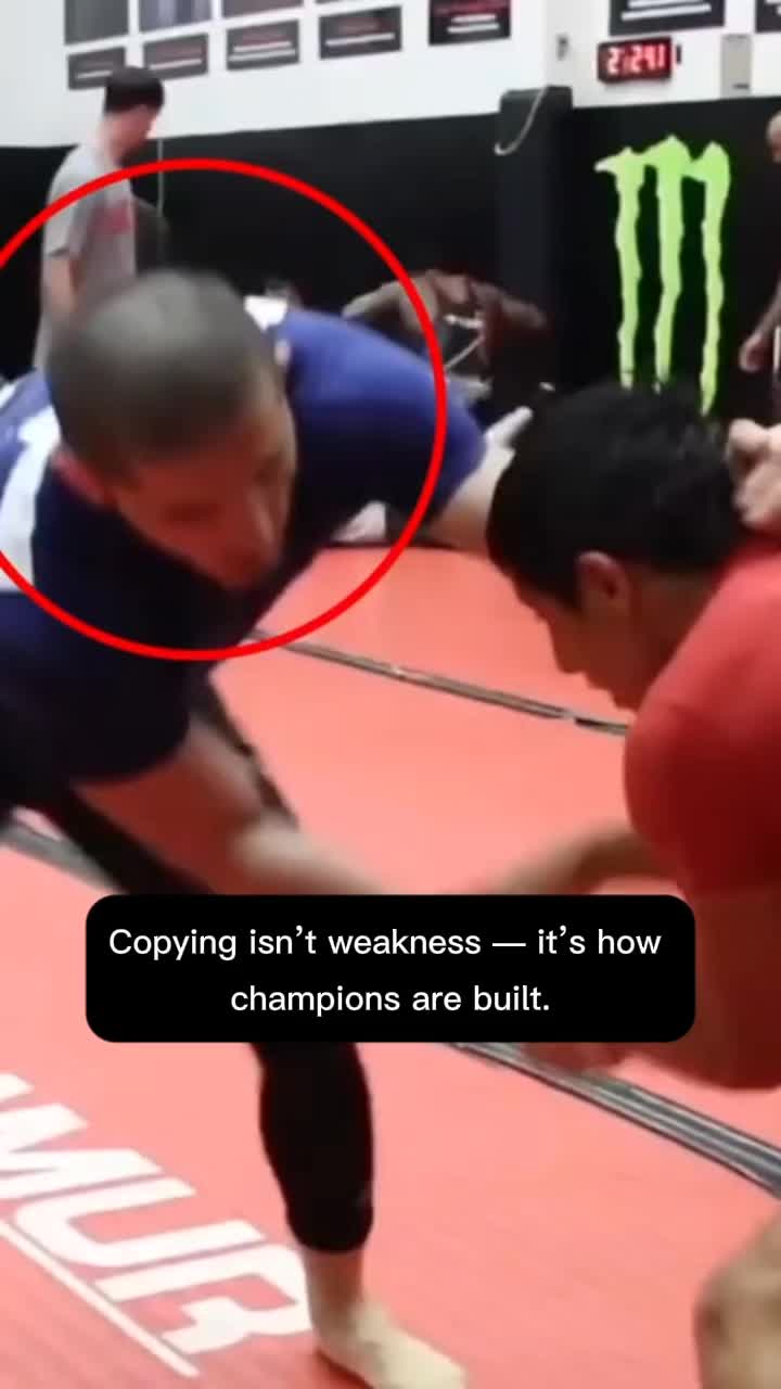 @furious facts