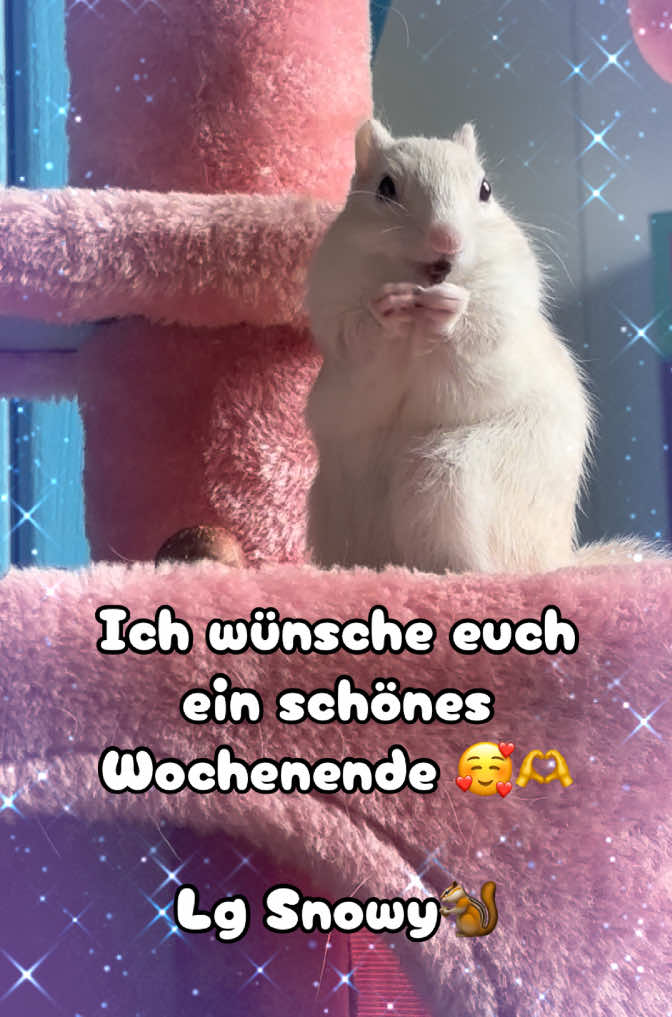 @Jenny&Skippi🐿️ TeamV🐿️u🦔🏰