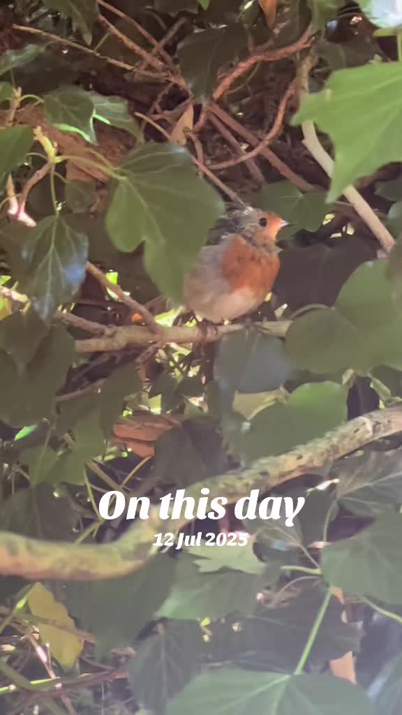 @flora_fauna_fur_feathers