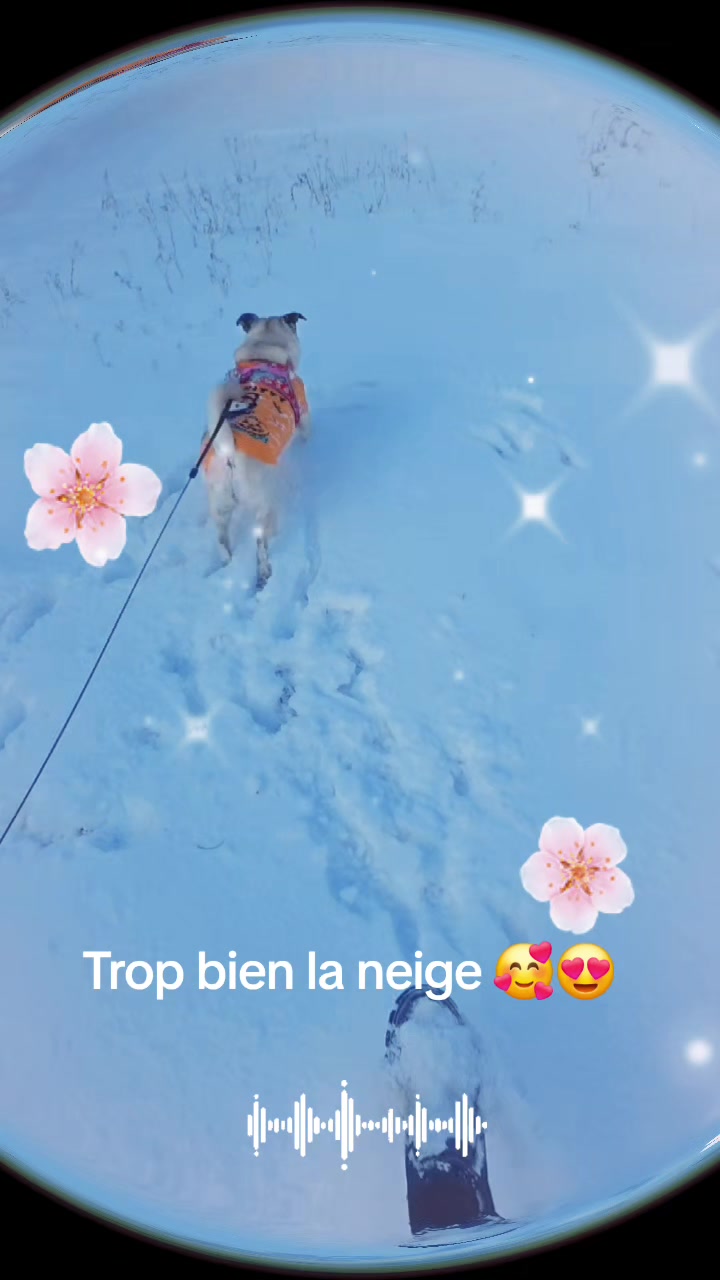 @Princesse-Iris ❤️