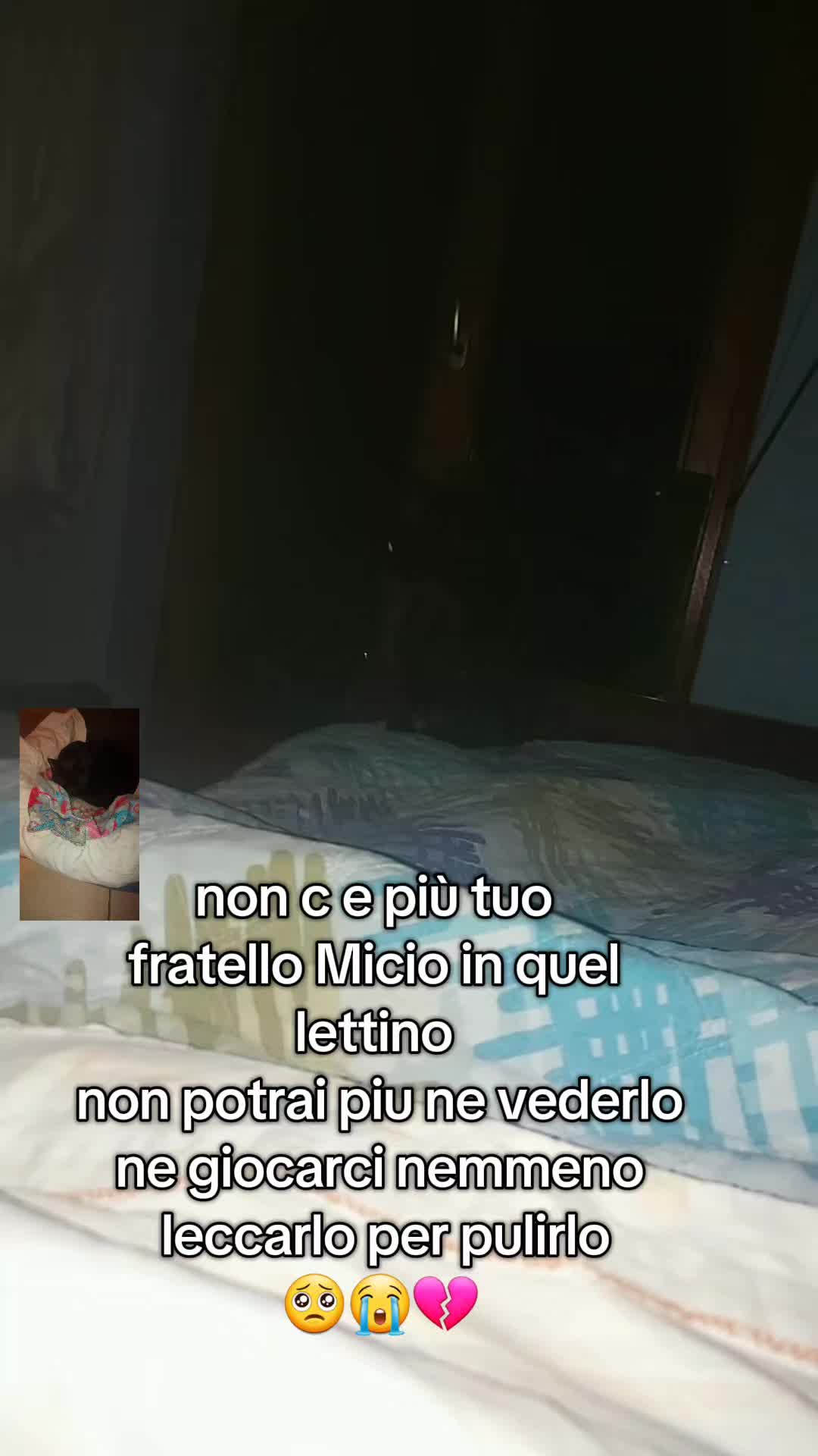 @rosyNapoli1926