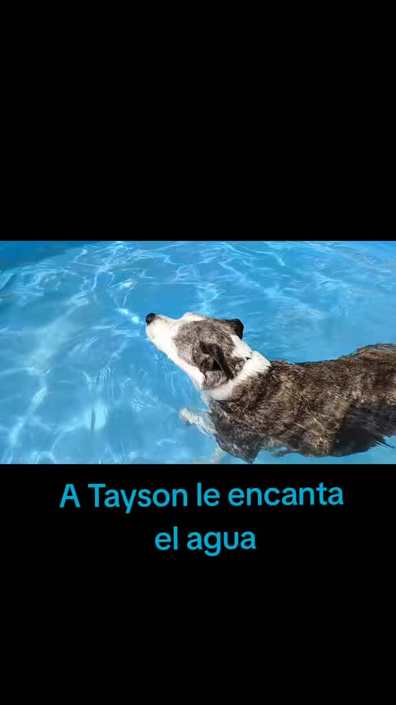 @Merche Chaparro