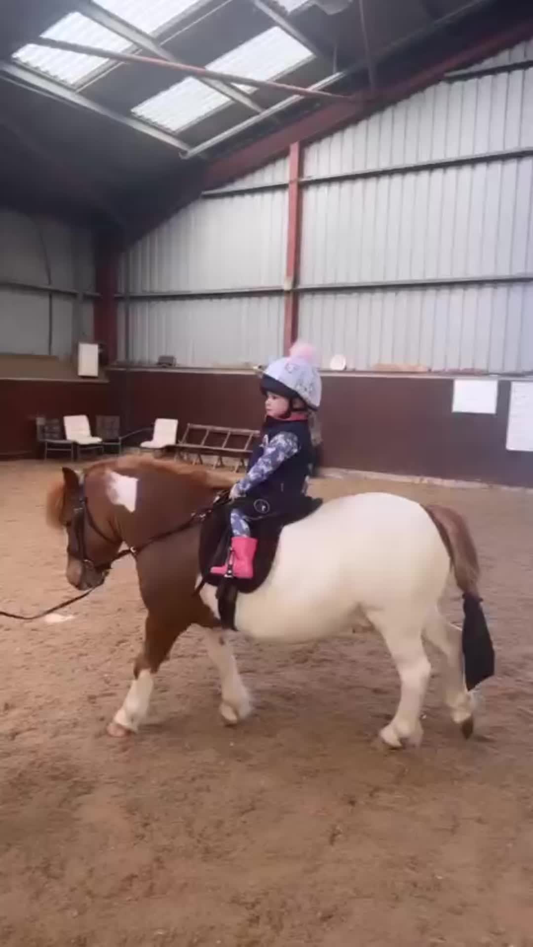 @Pen & ponies