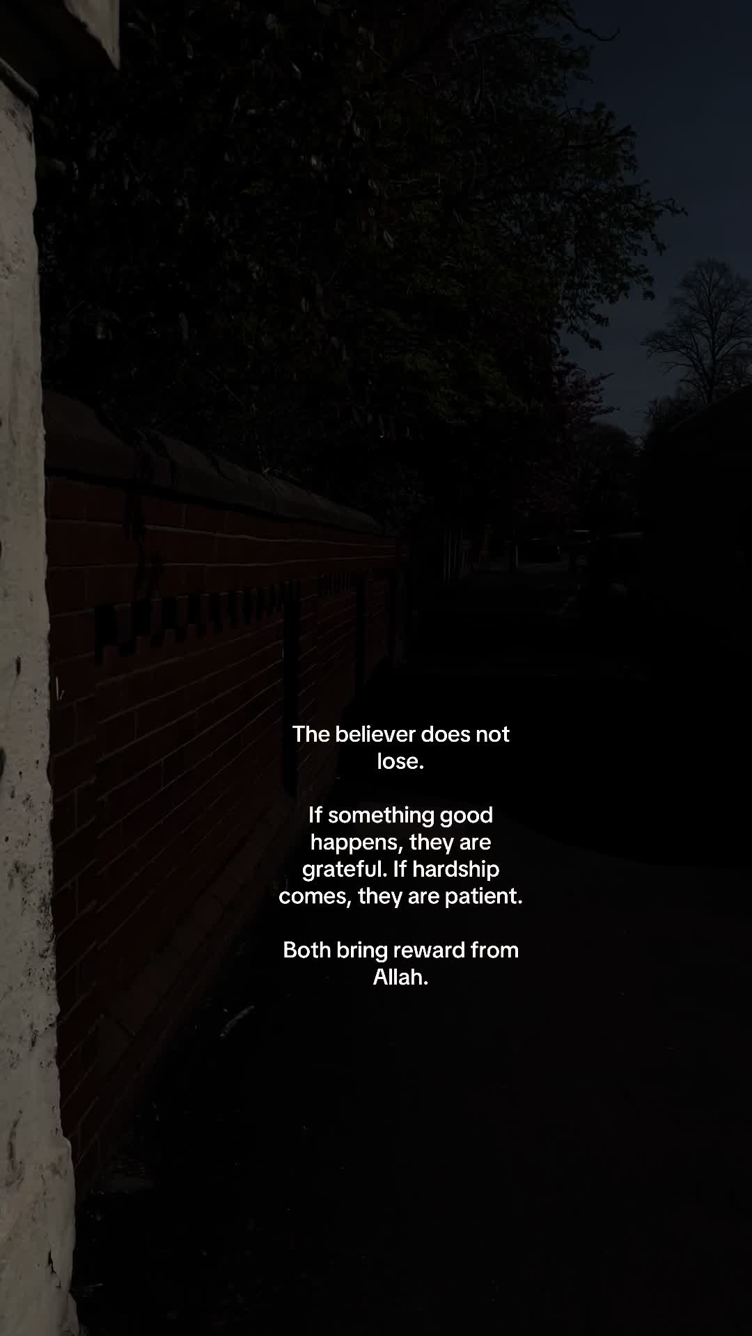 @No Doubt🕊️