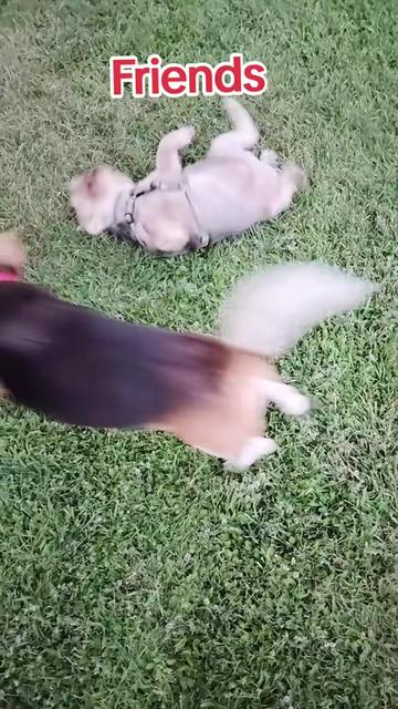 @🙋🏼&zwj;♀️Maria & Dylan 🐶
