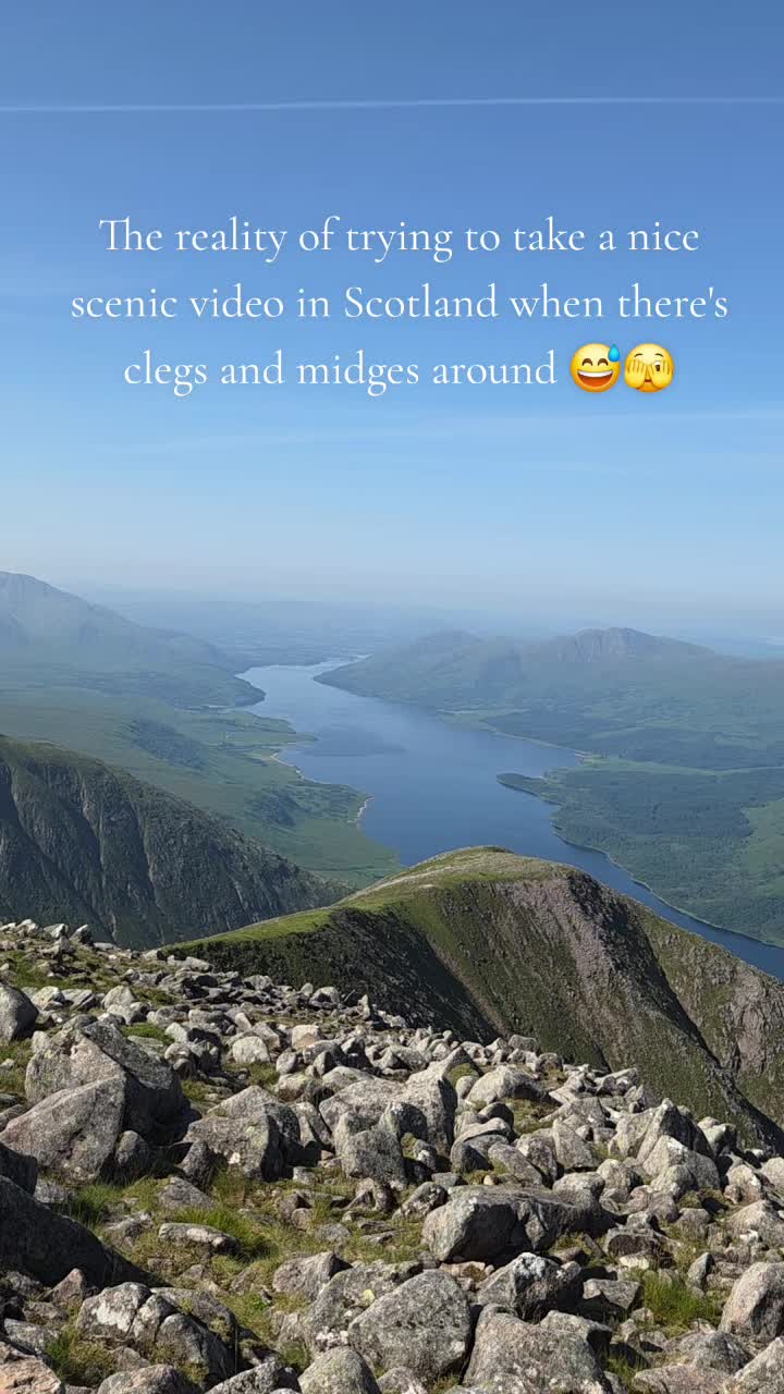 @Daniella Barnes 🏴