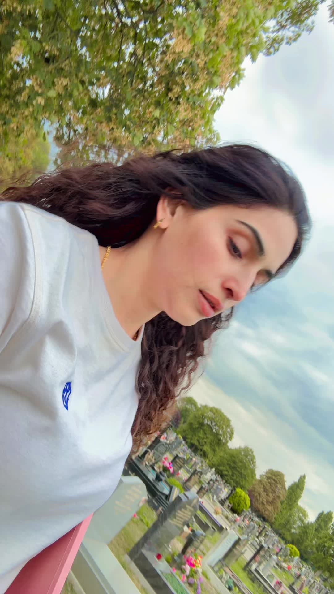 @punjabikitchen17