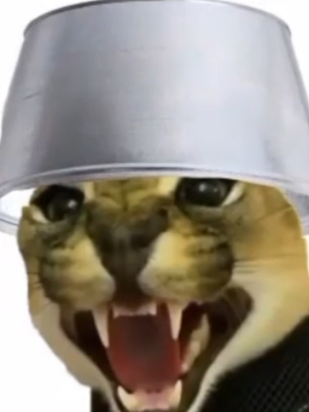 @Winter2021