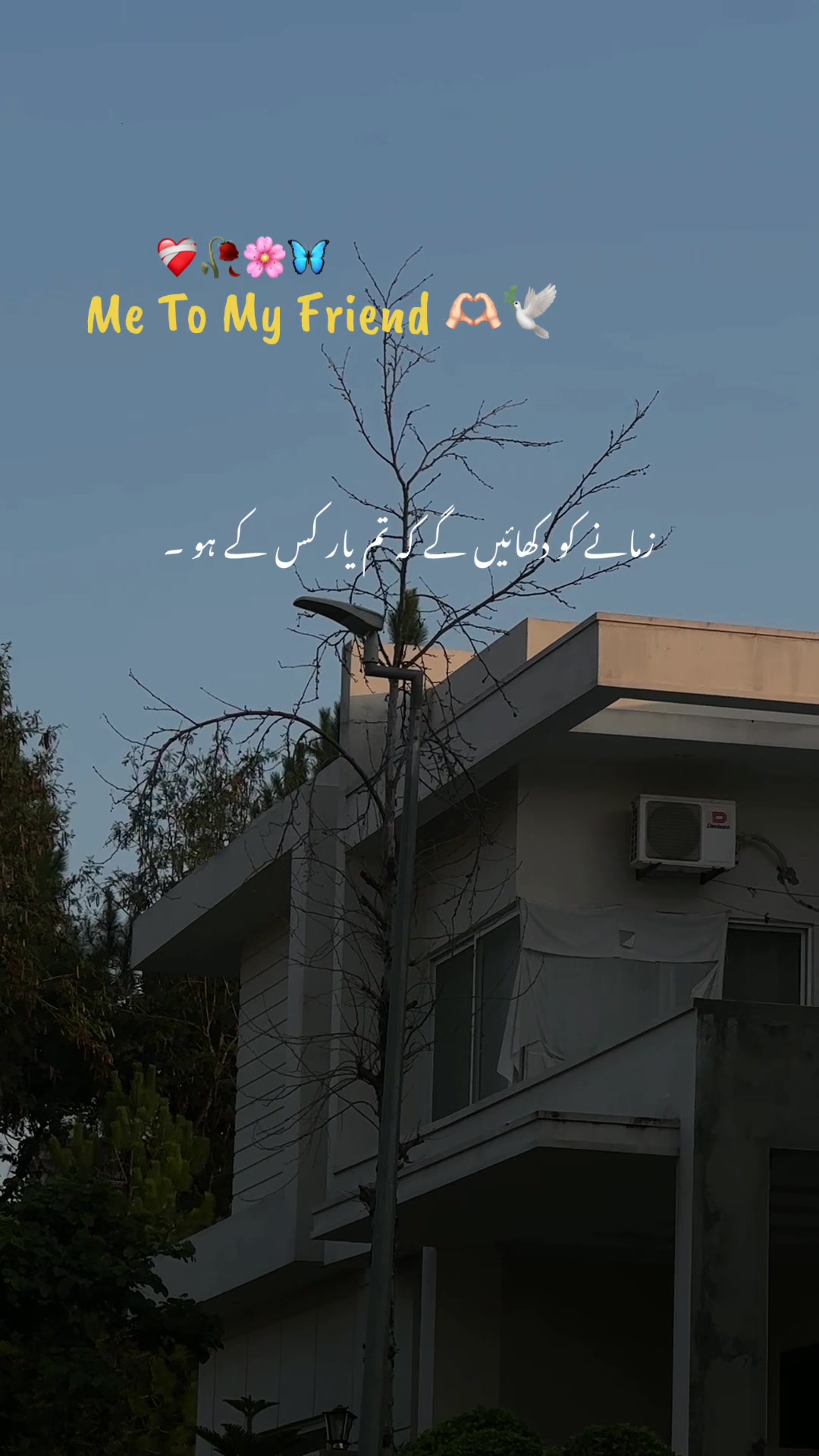 @𝘼𝙨𝙝𝙠-𝙚-𝘿𝙞𝙡 ❤️&zwj;🩹🥀