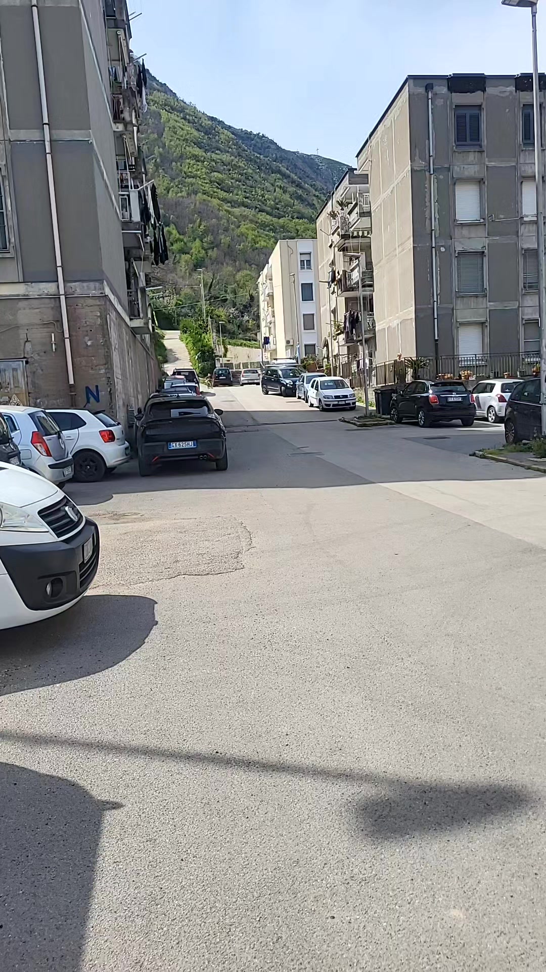 @Enzo D'arco