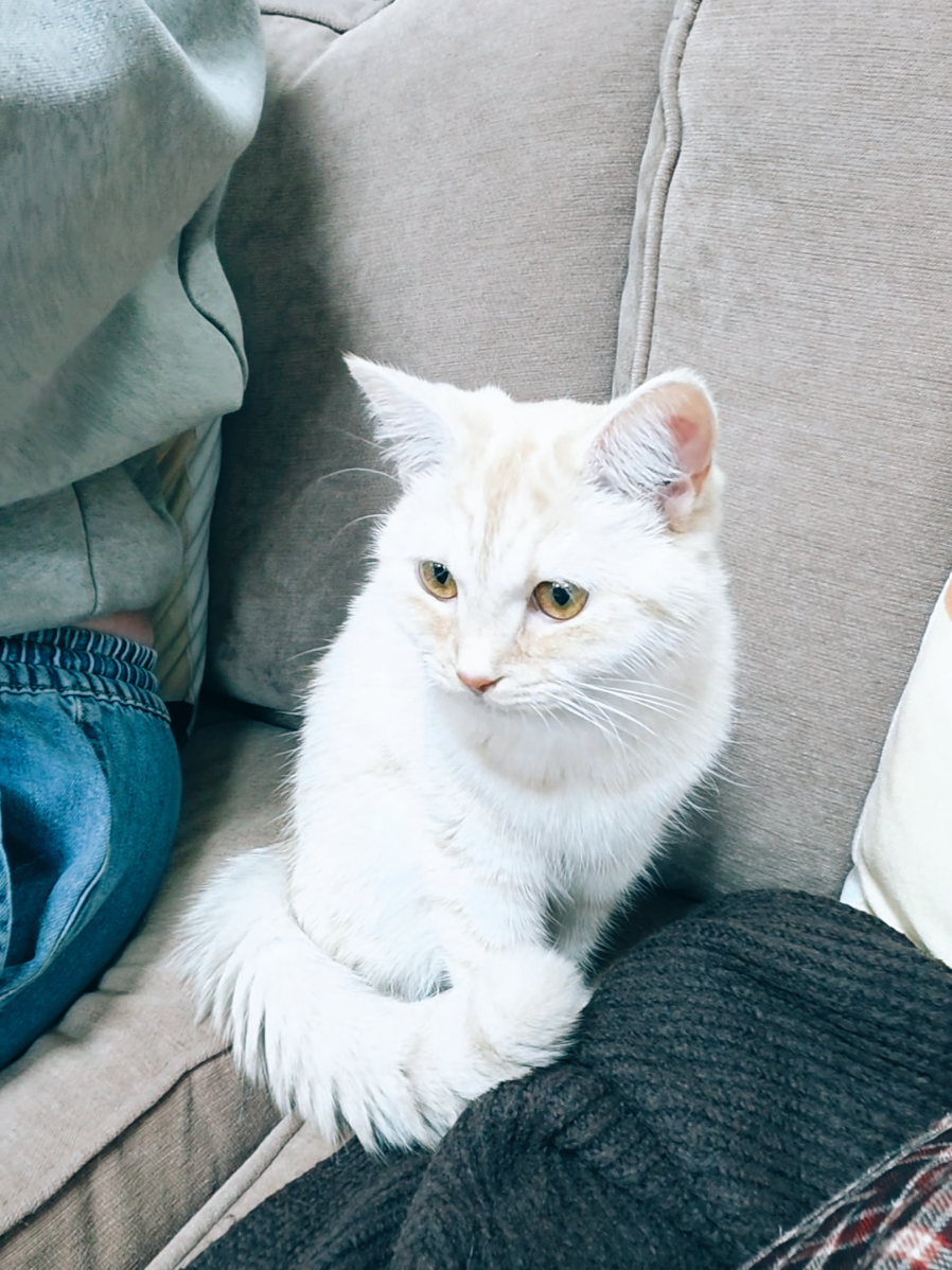 @CoffeeandKimchi