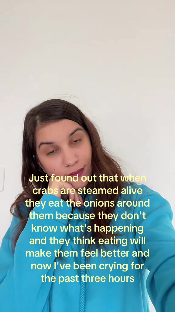 @vivelaversion