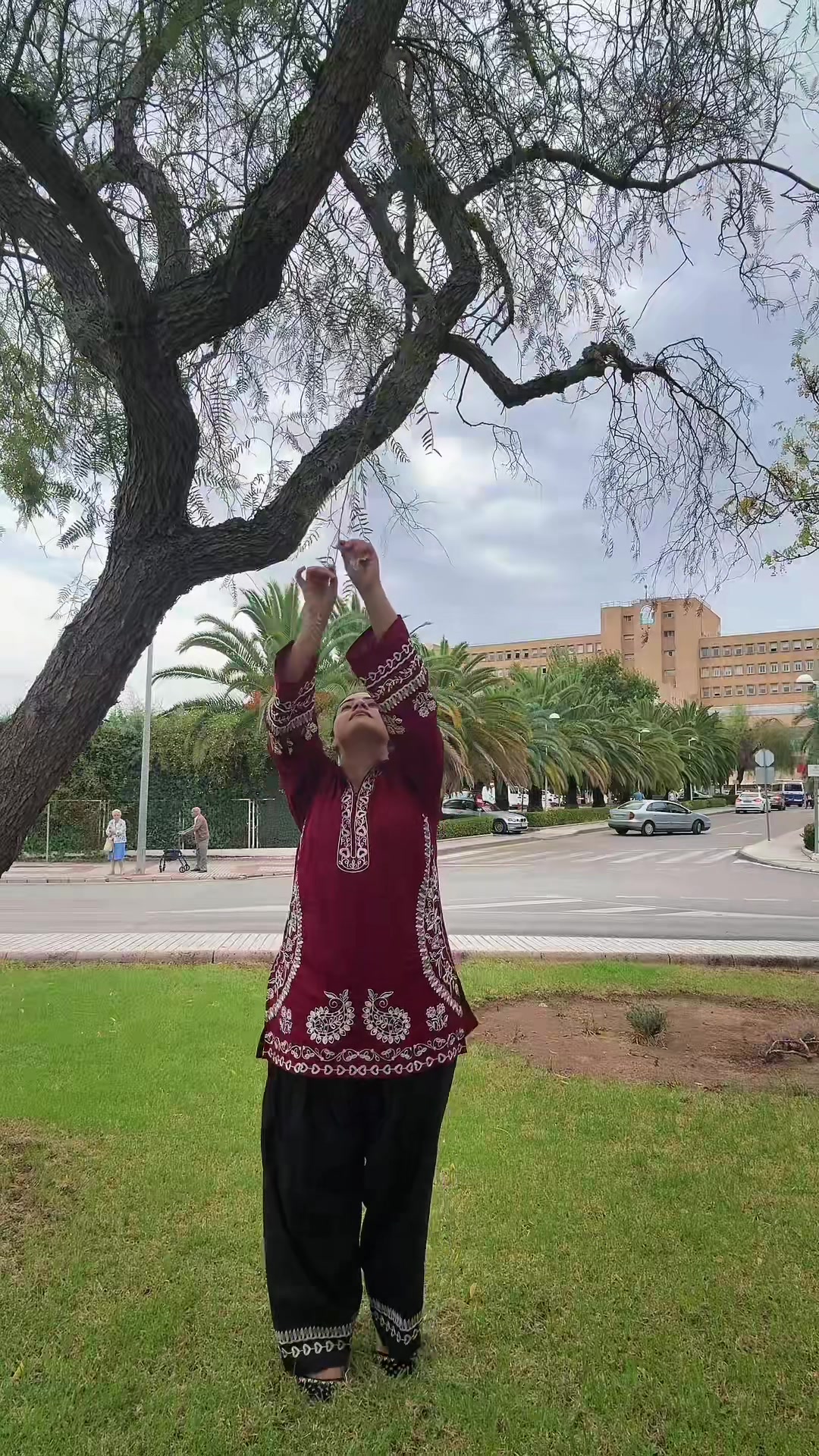 @marwamureed