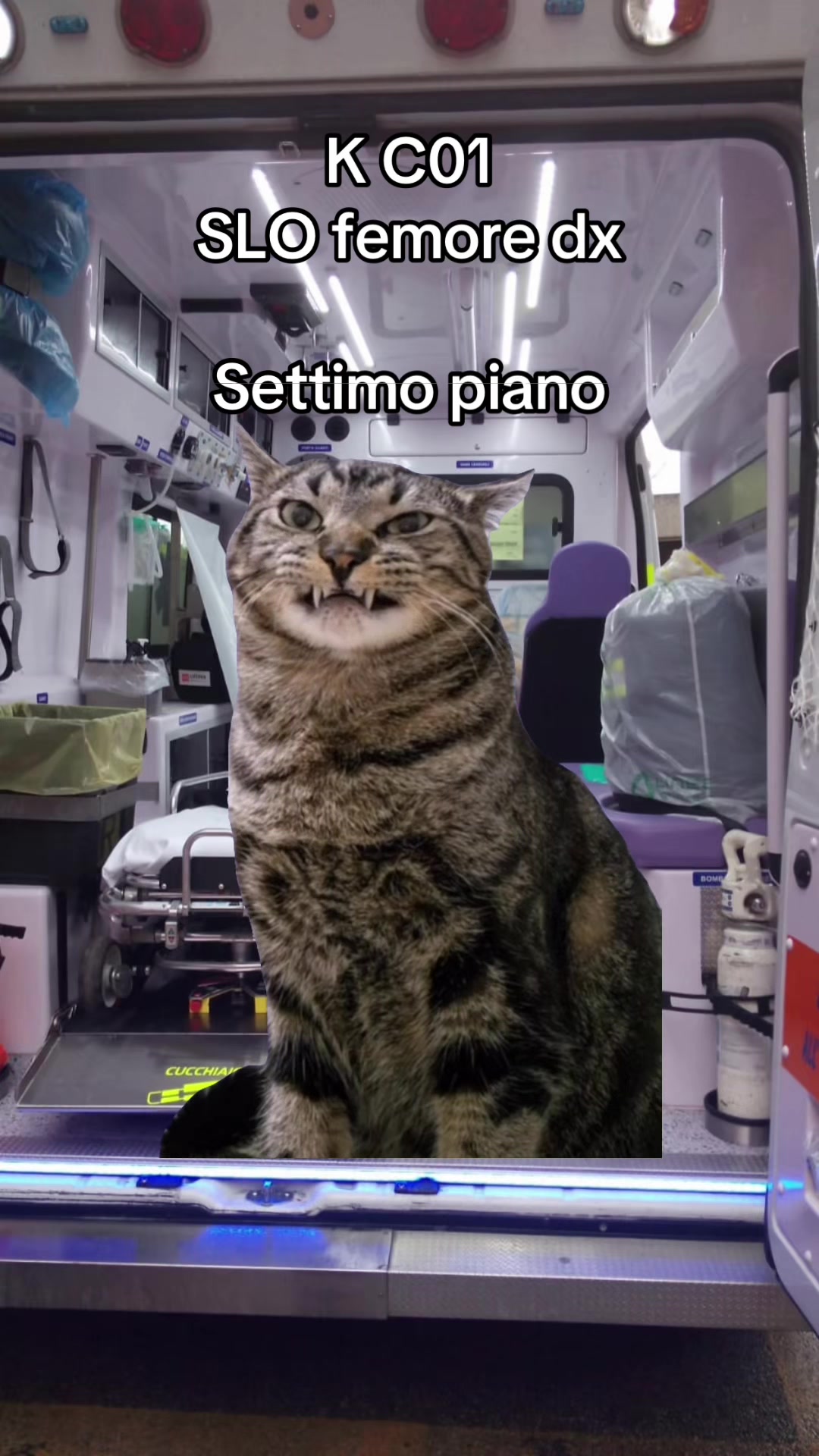 @indiajuliet1