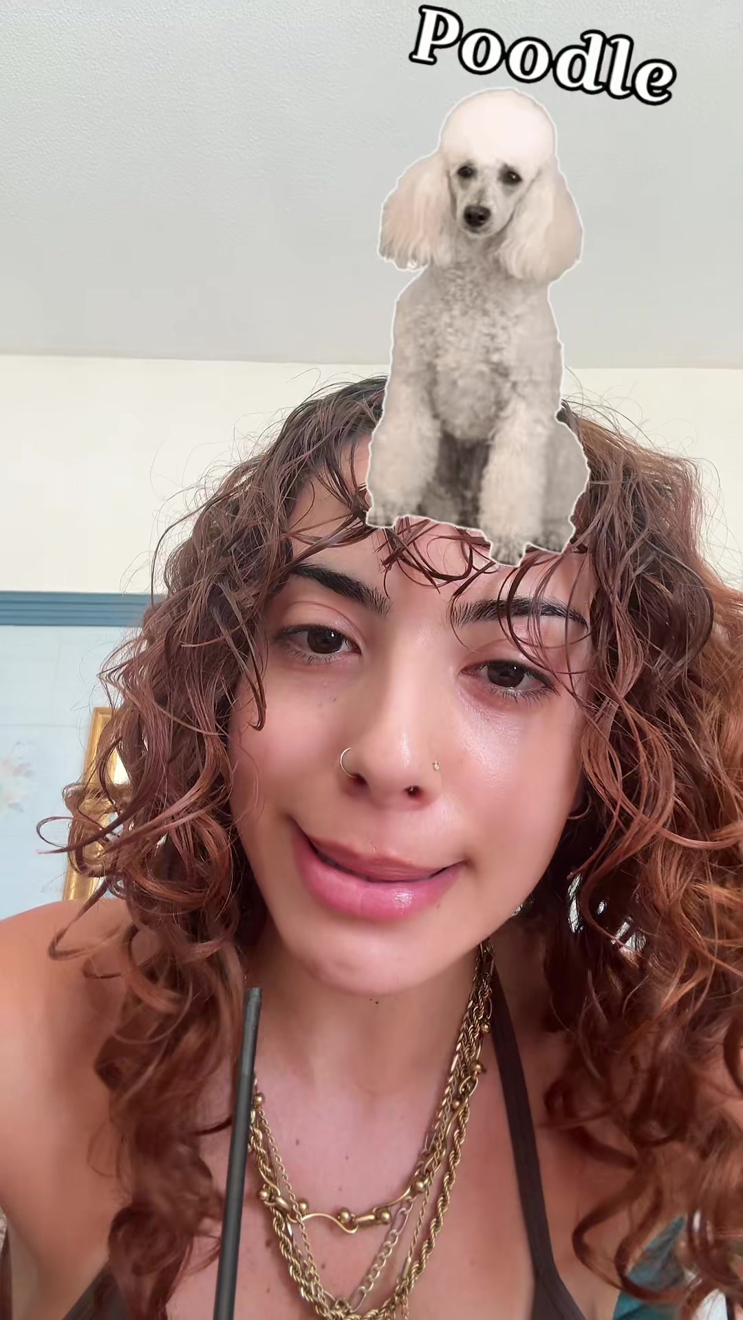 @andppa_