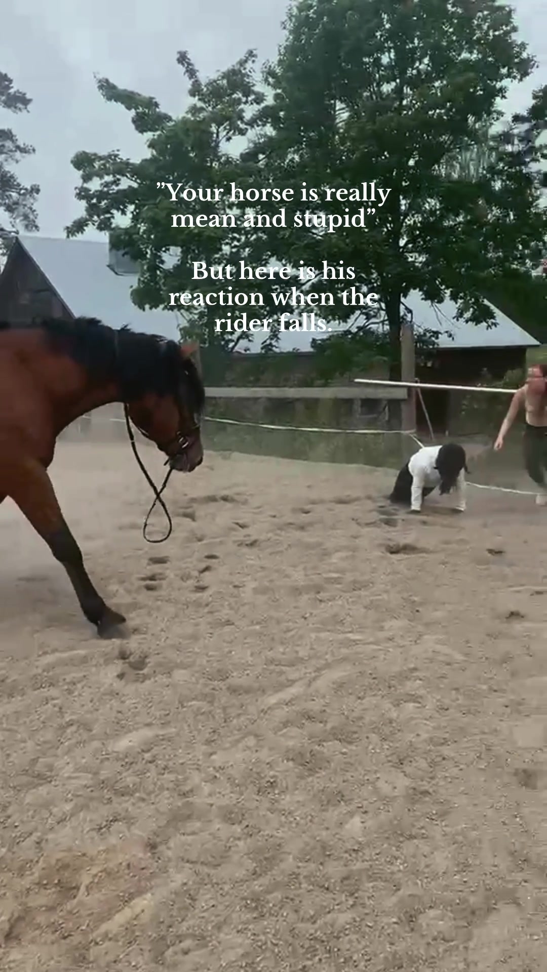 @Ponirannan talli🇫🇮🐎