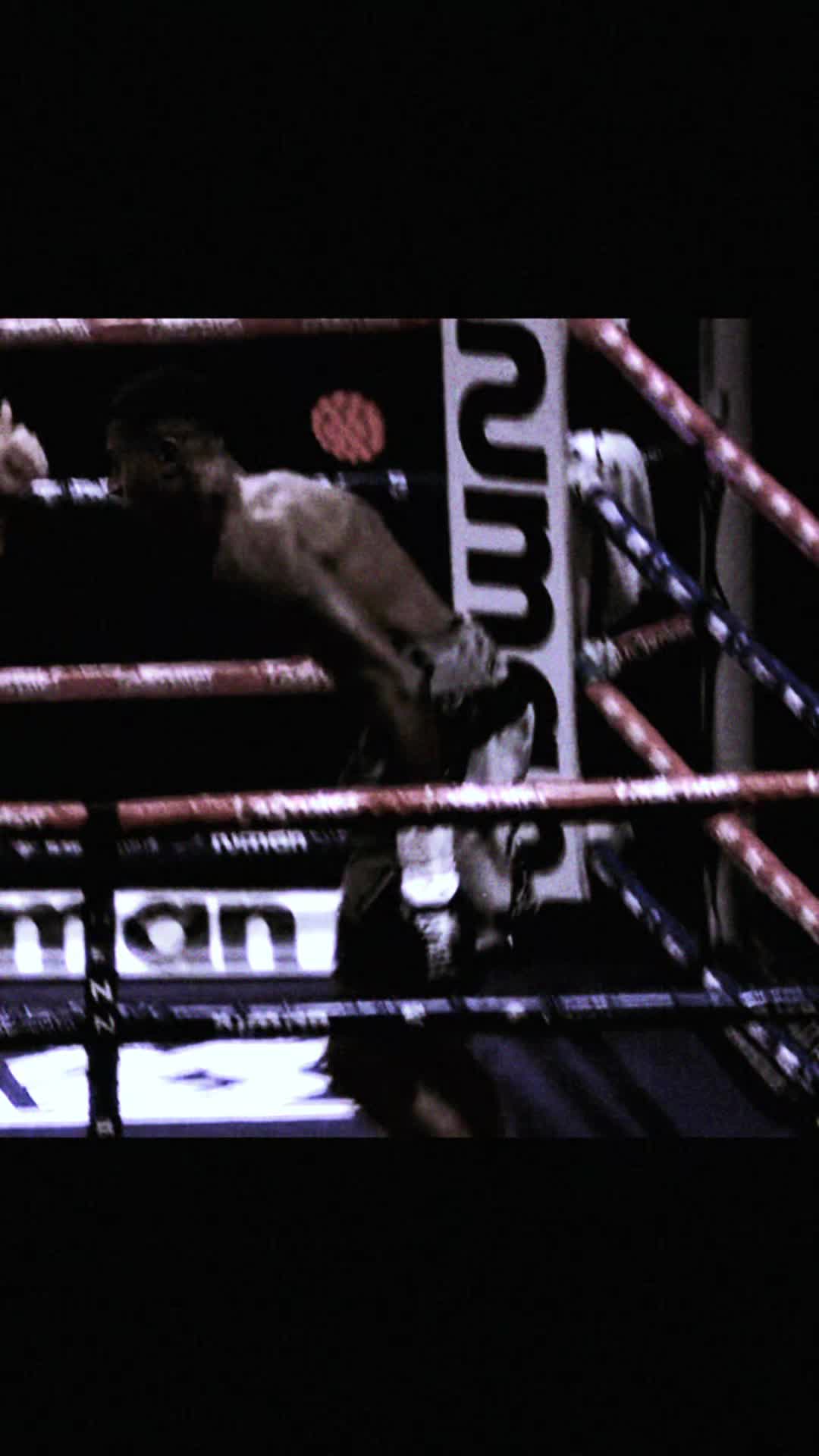 @BoxVision