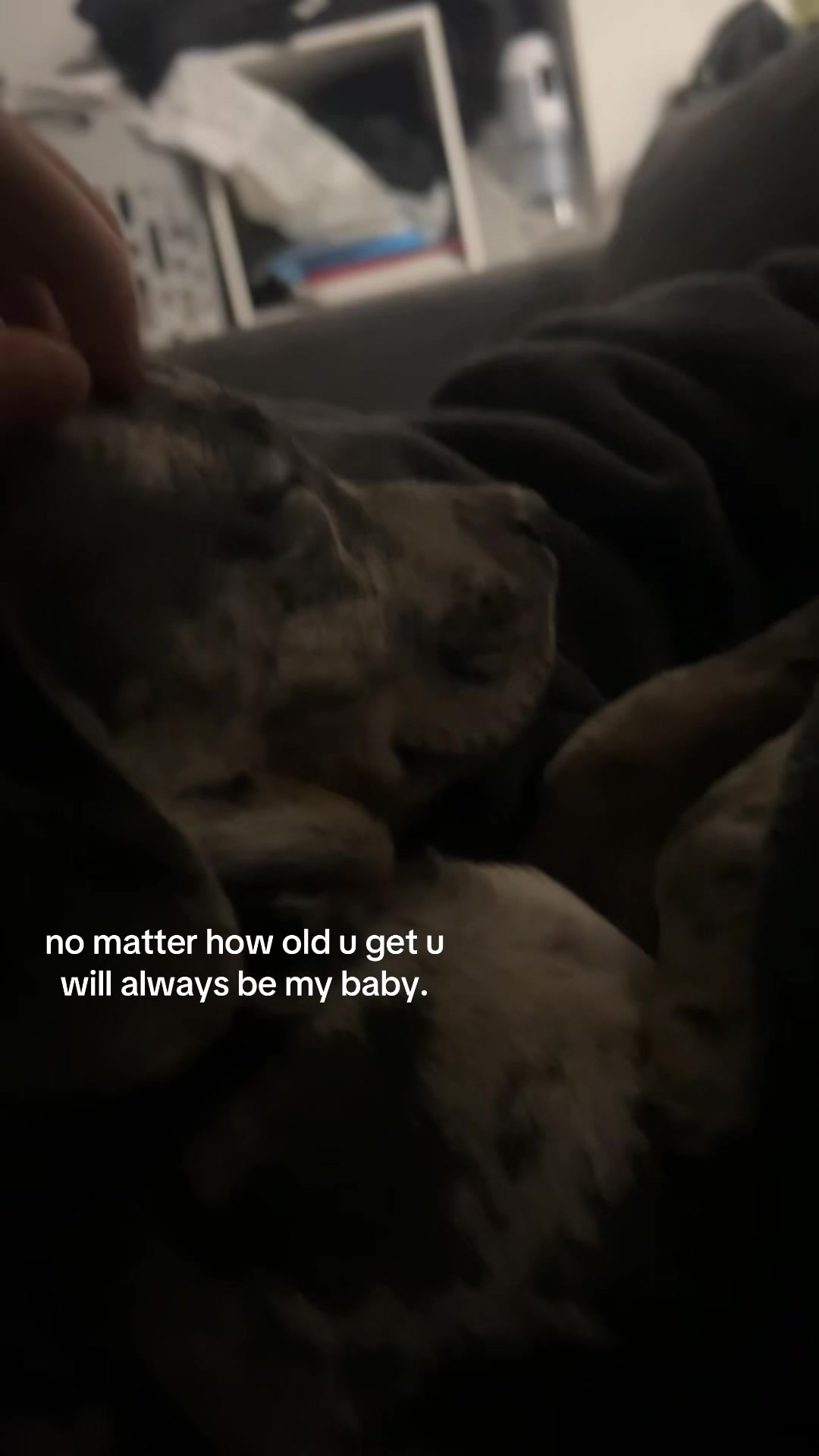 @user586