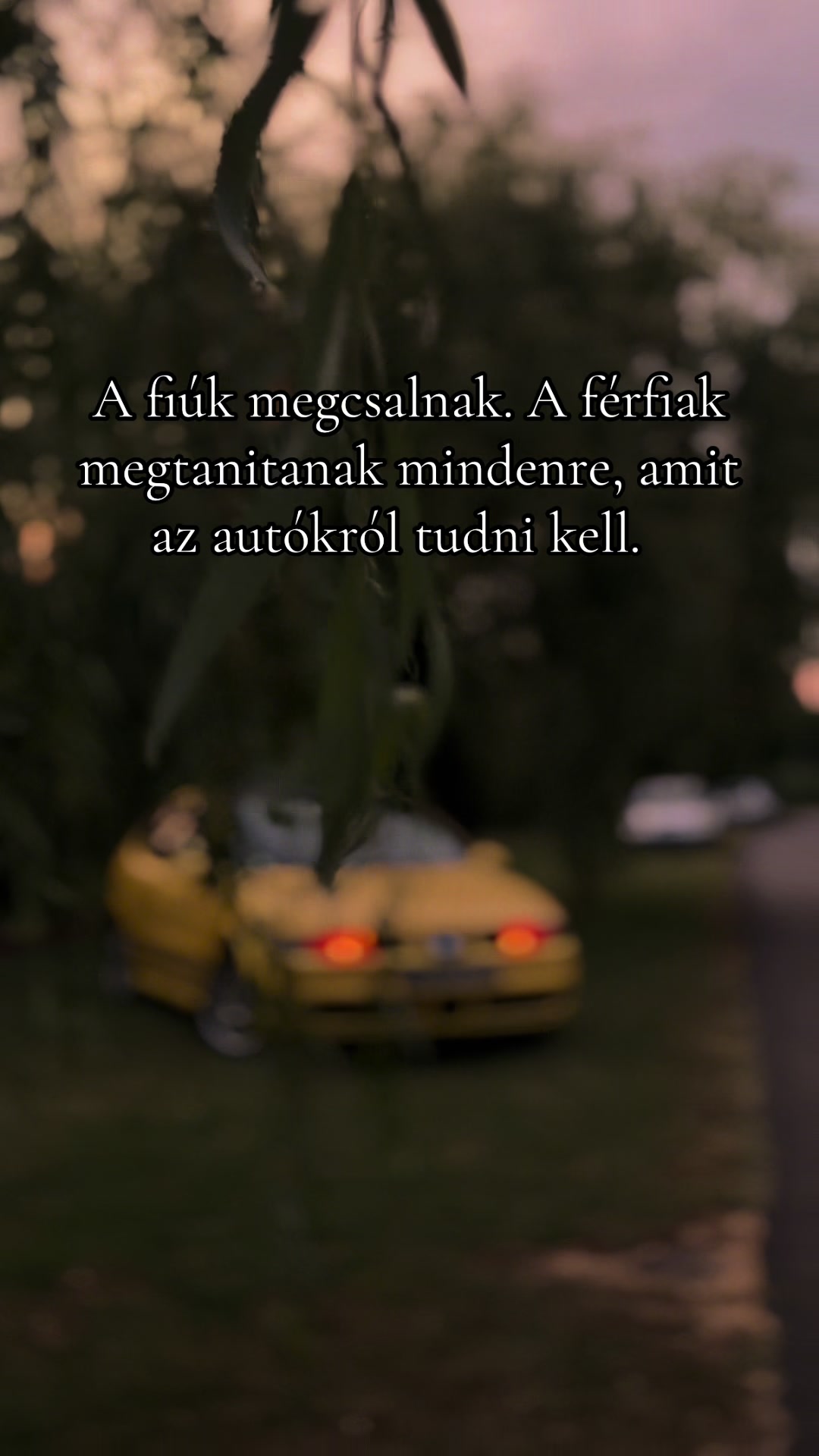 @Gábor Vaskó