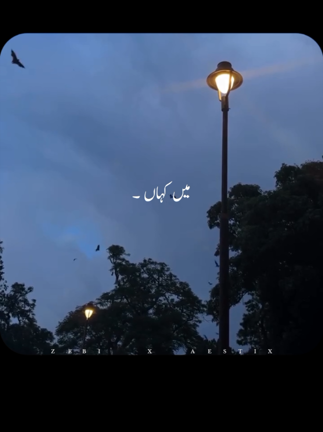 @𝙕𝙀𝘽𝙄 𝙓 𝘼𝙀𝙎𝙏𝙄𝙓