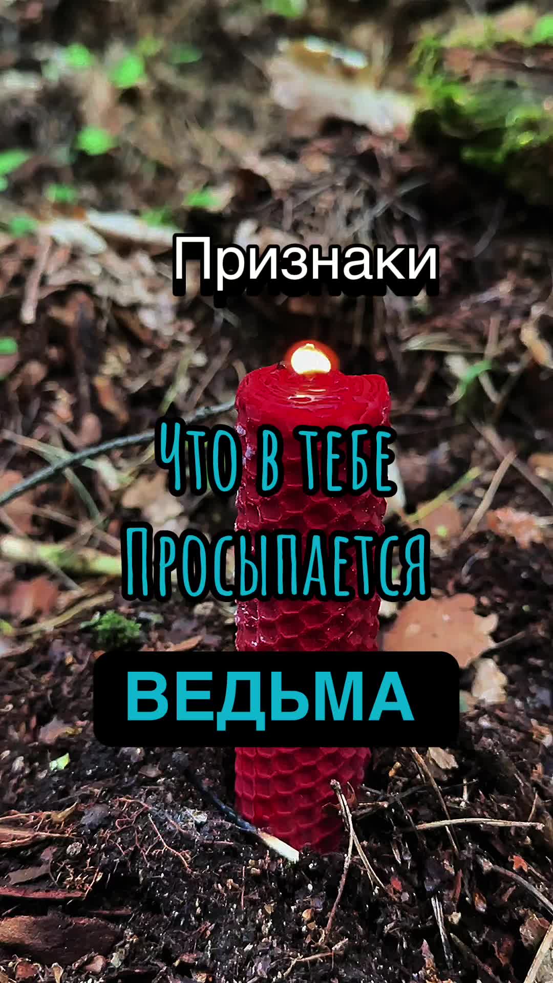 @🌿лесная ведьма🌿frejamagic