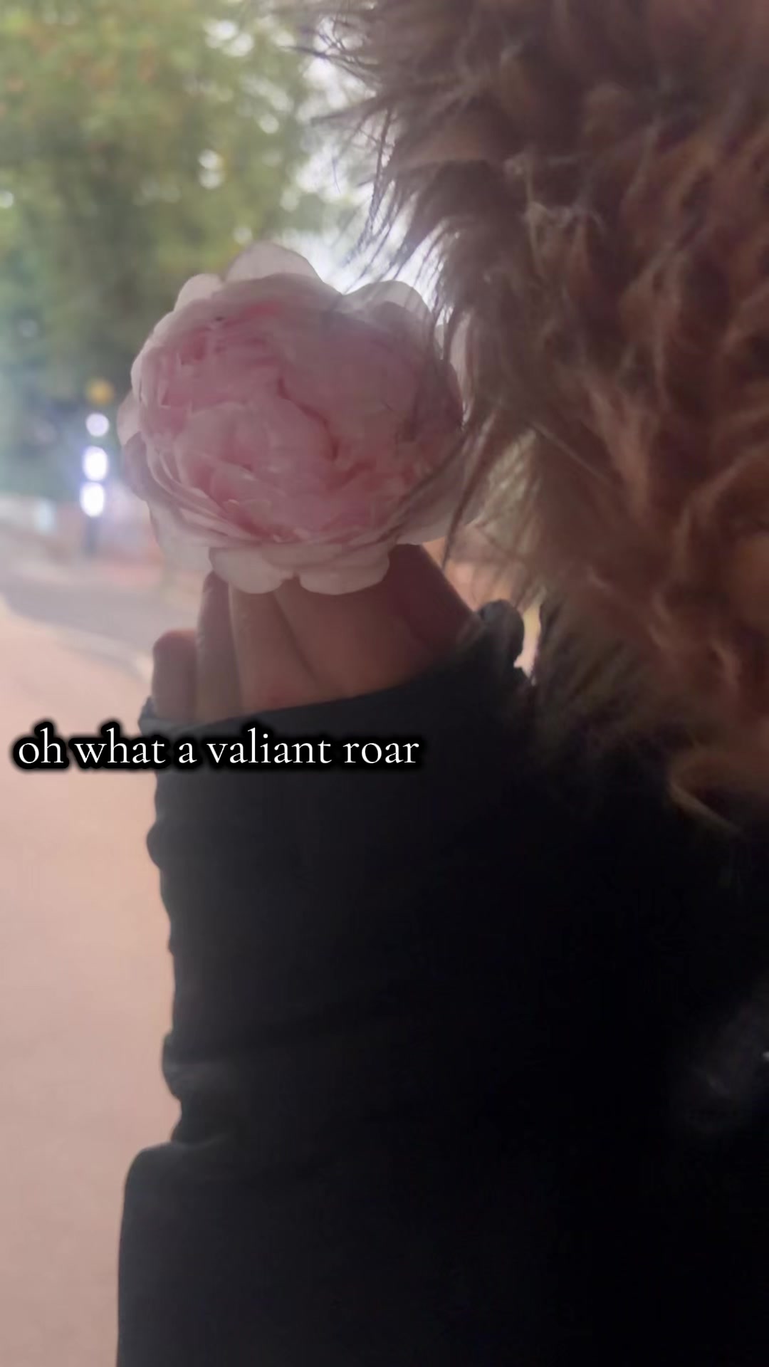 @aleshasspamacct
