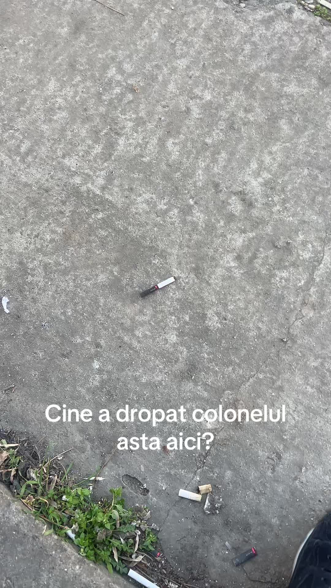 @radu