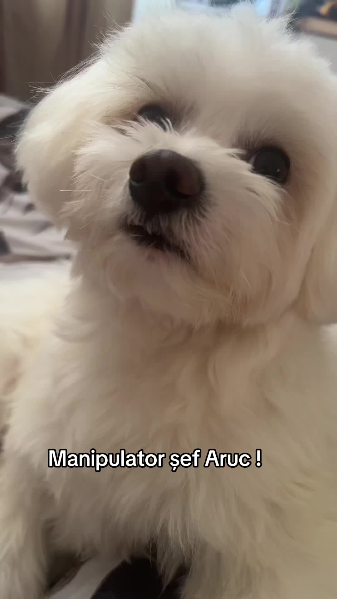 @Mioana