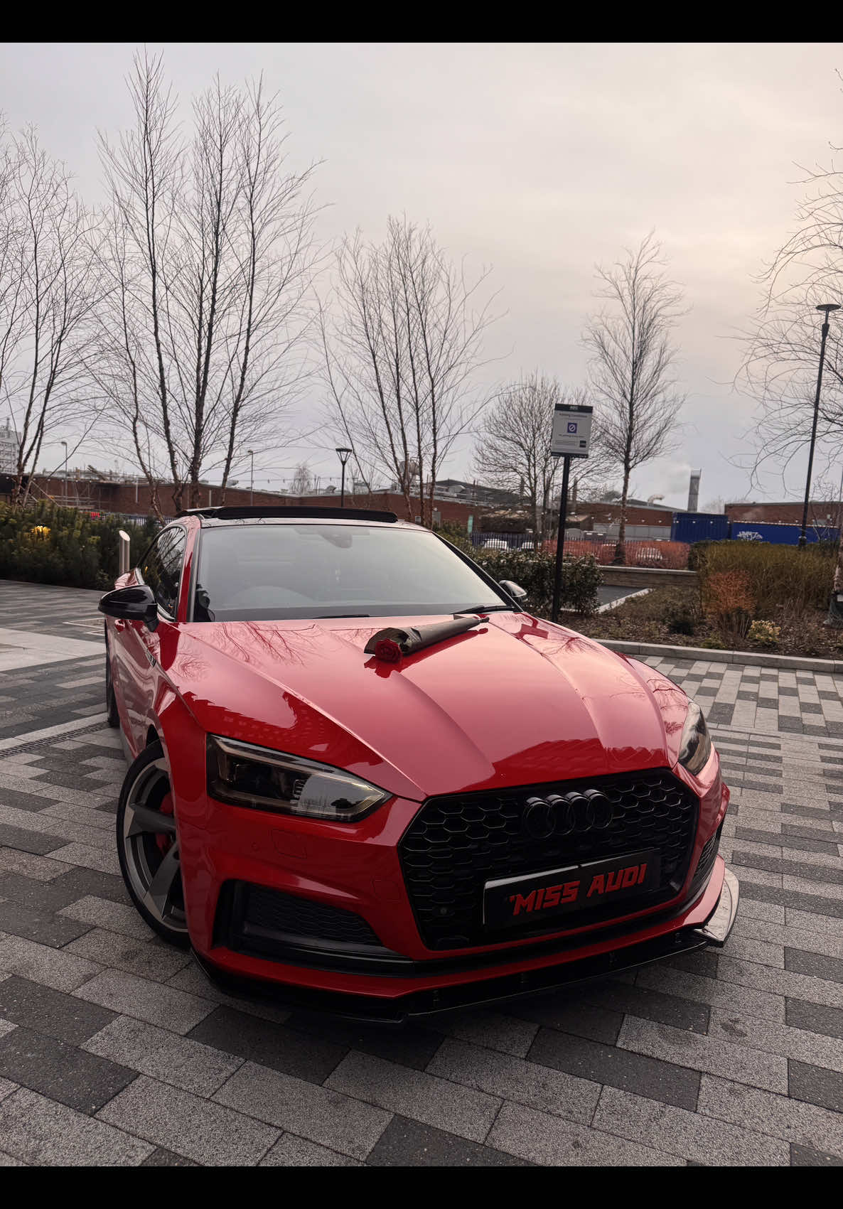 @Miss Audi