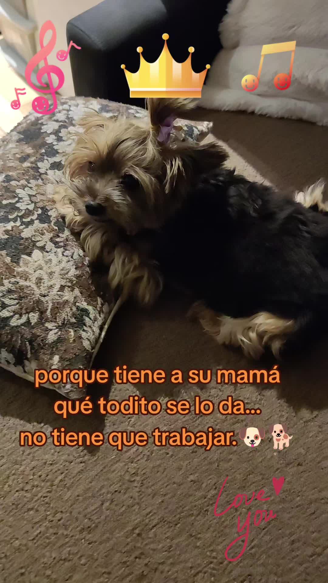 @Cemorqui