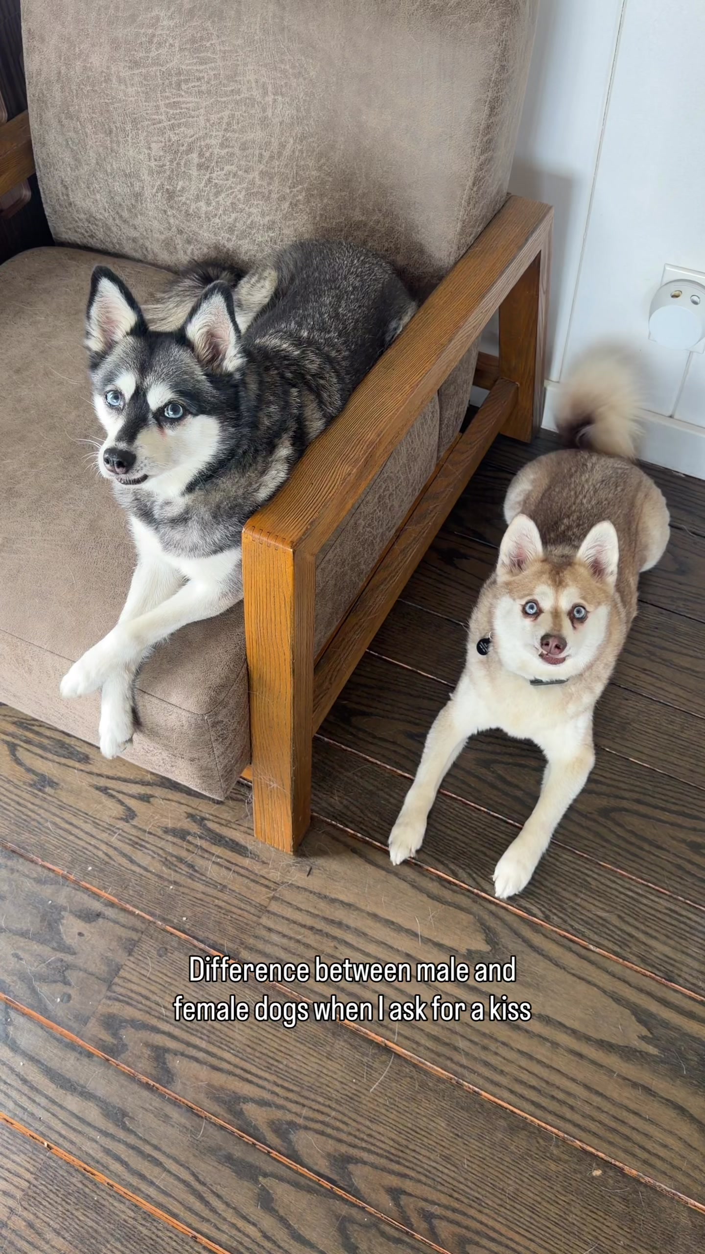 @lifewithkleekai