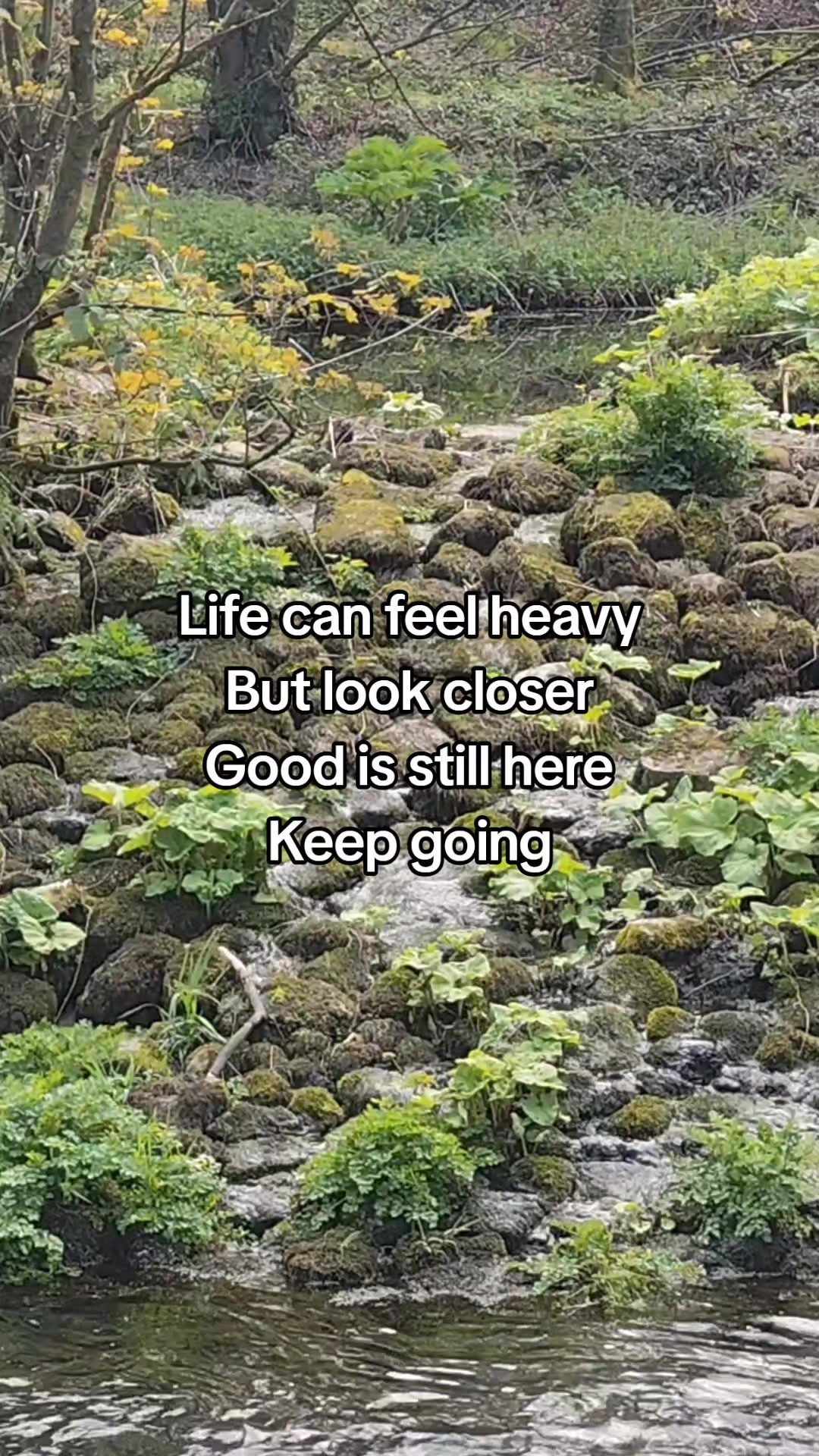 @Snap Clickle