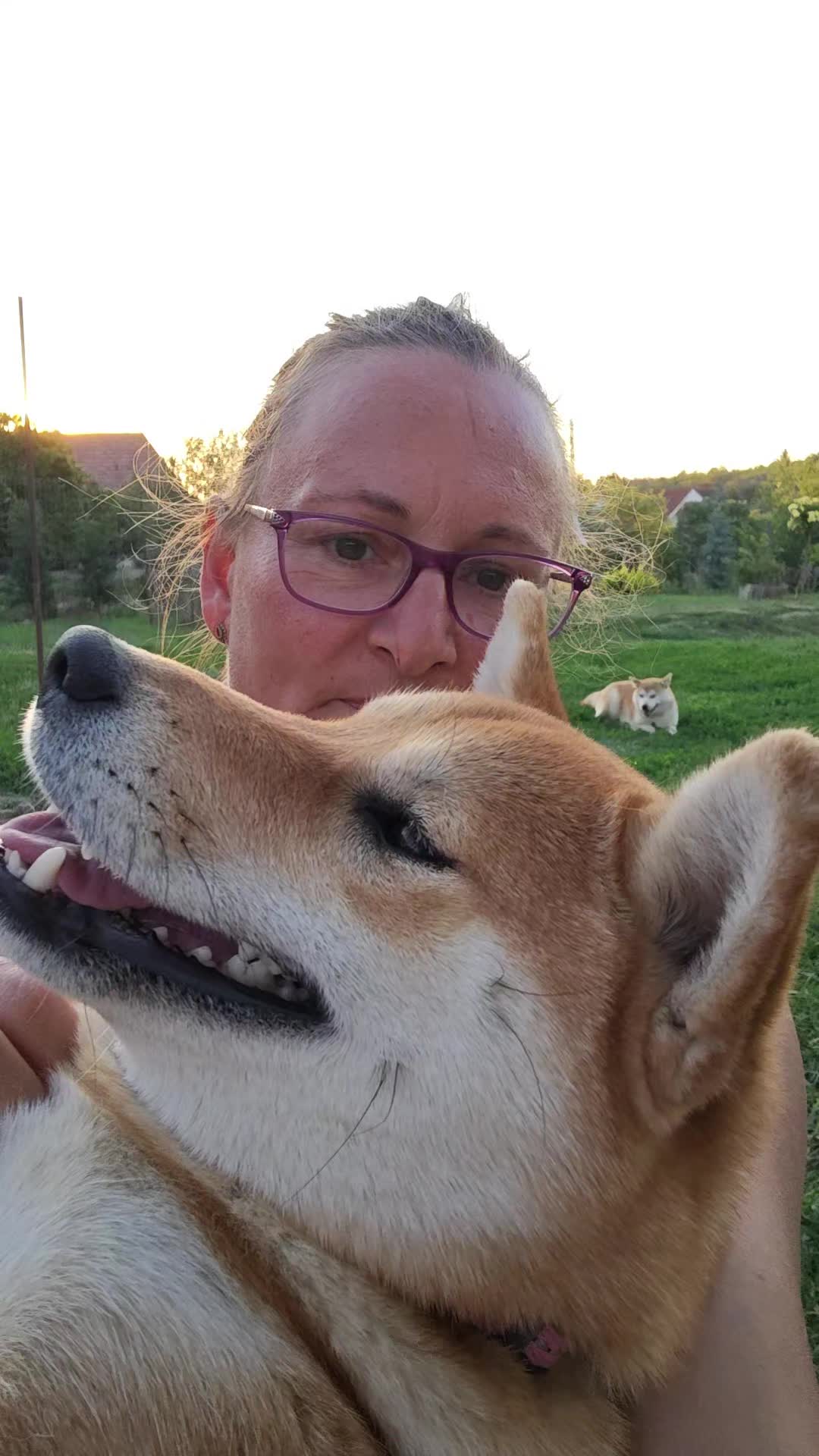 @Spirit of Asia Kennel