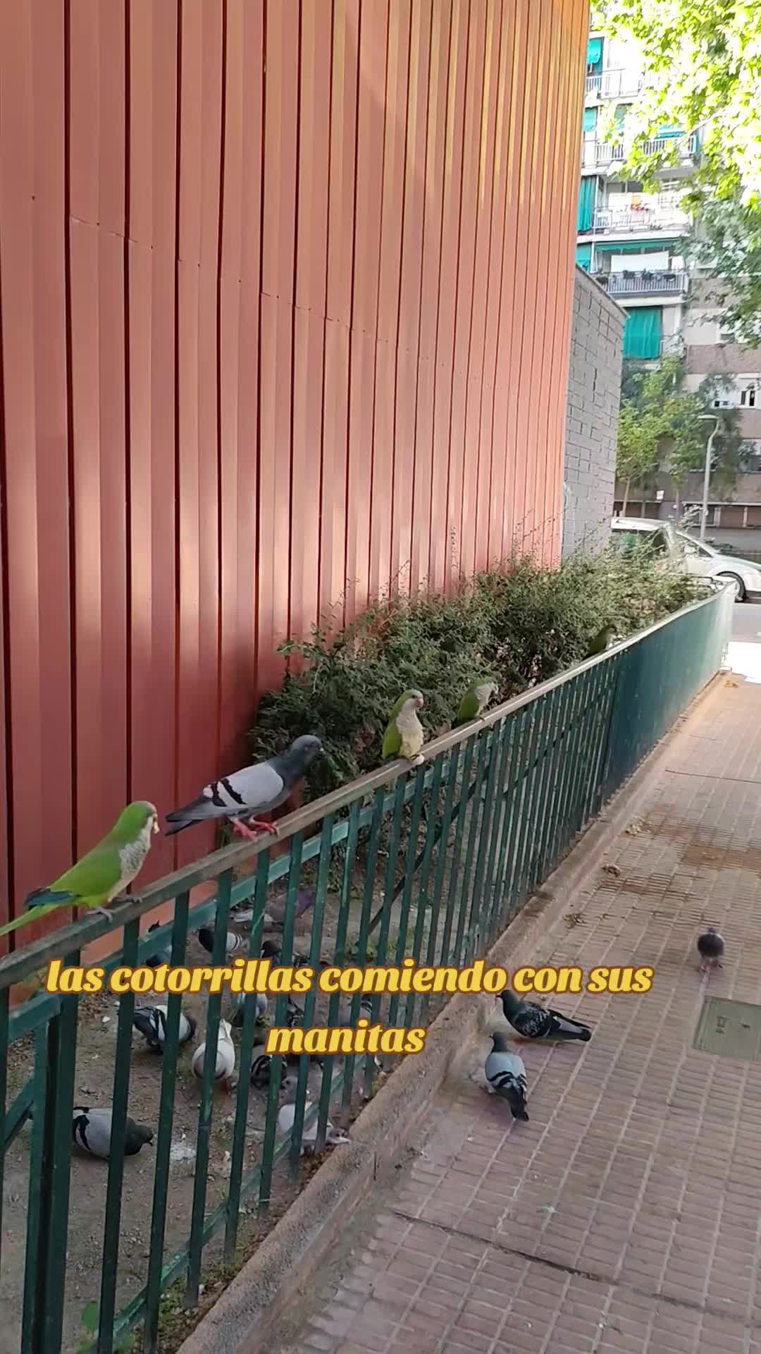 @Azu