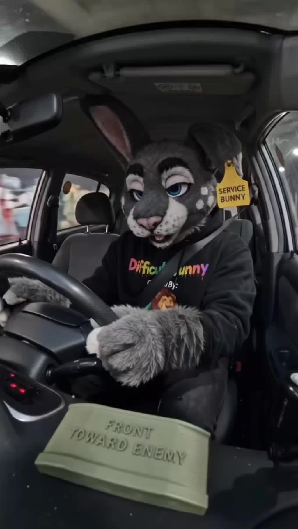 @Difficult Bunny!